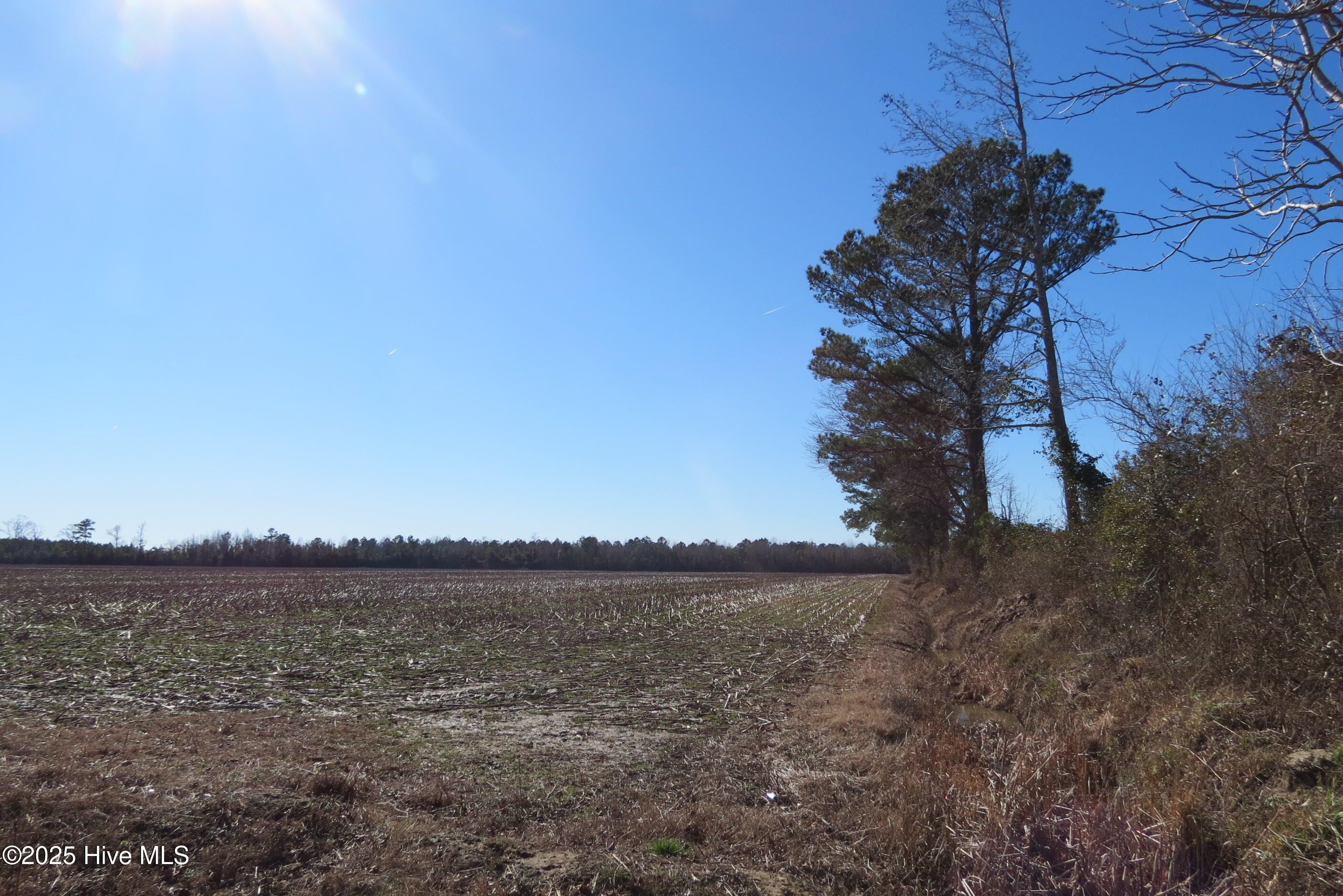 0 Neals Creek Road,Bayboro