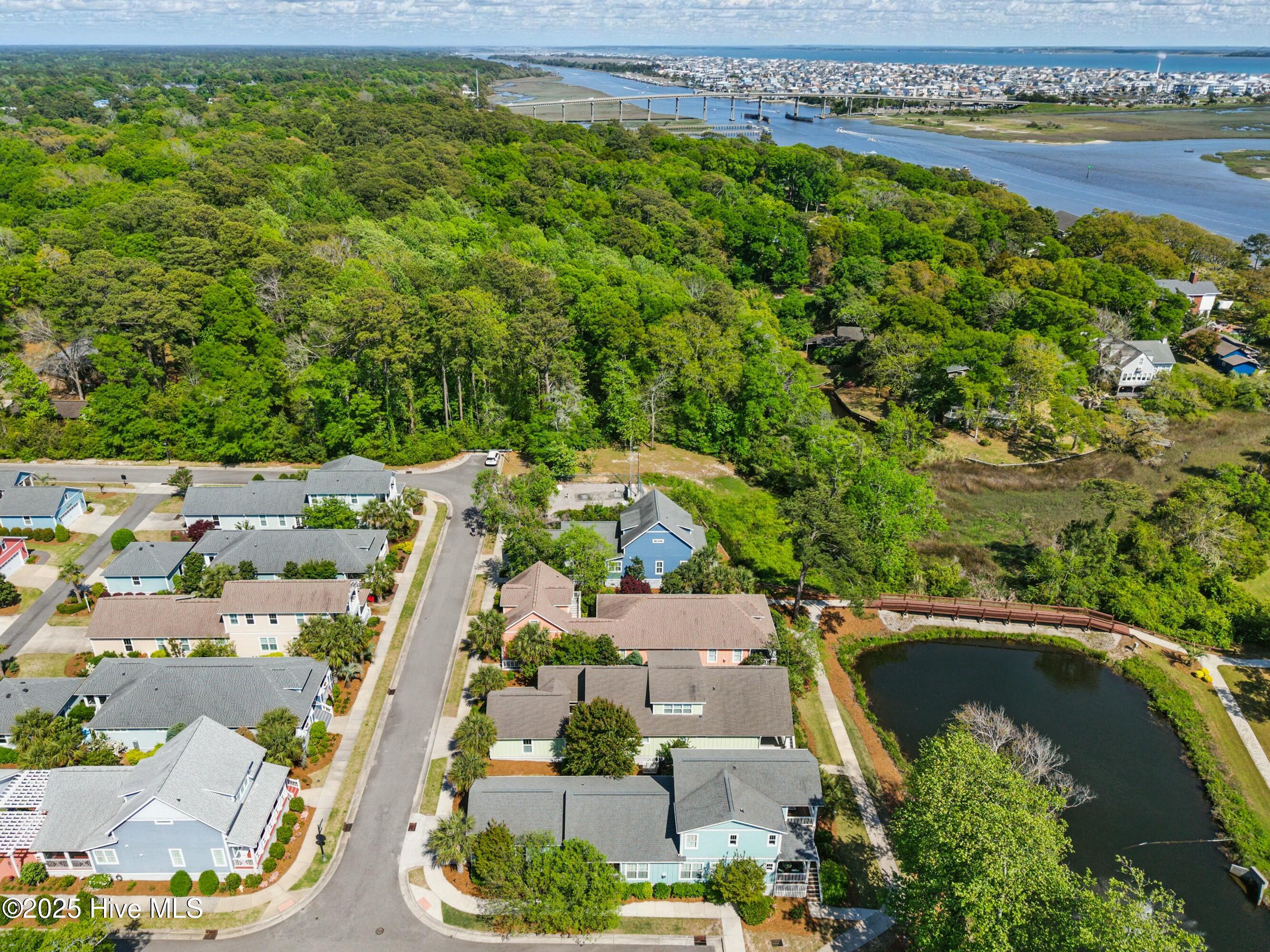 100560955 | Photo 50