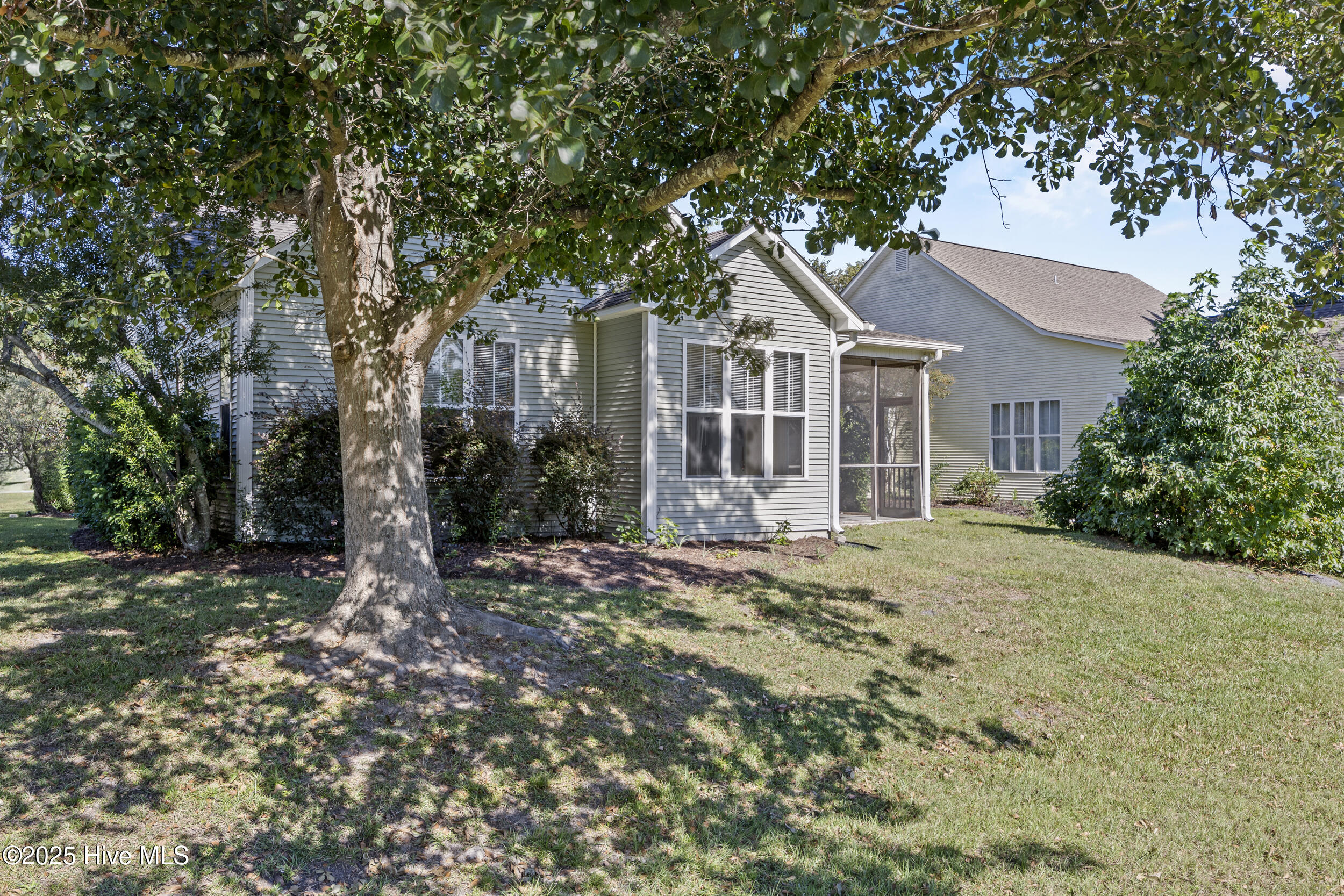 100535393 | Photo 41