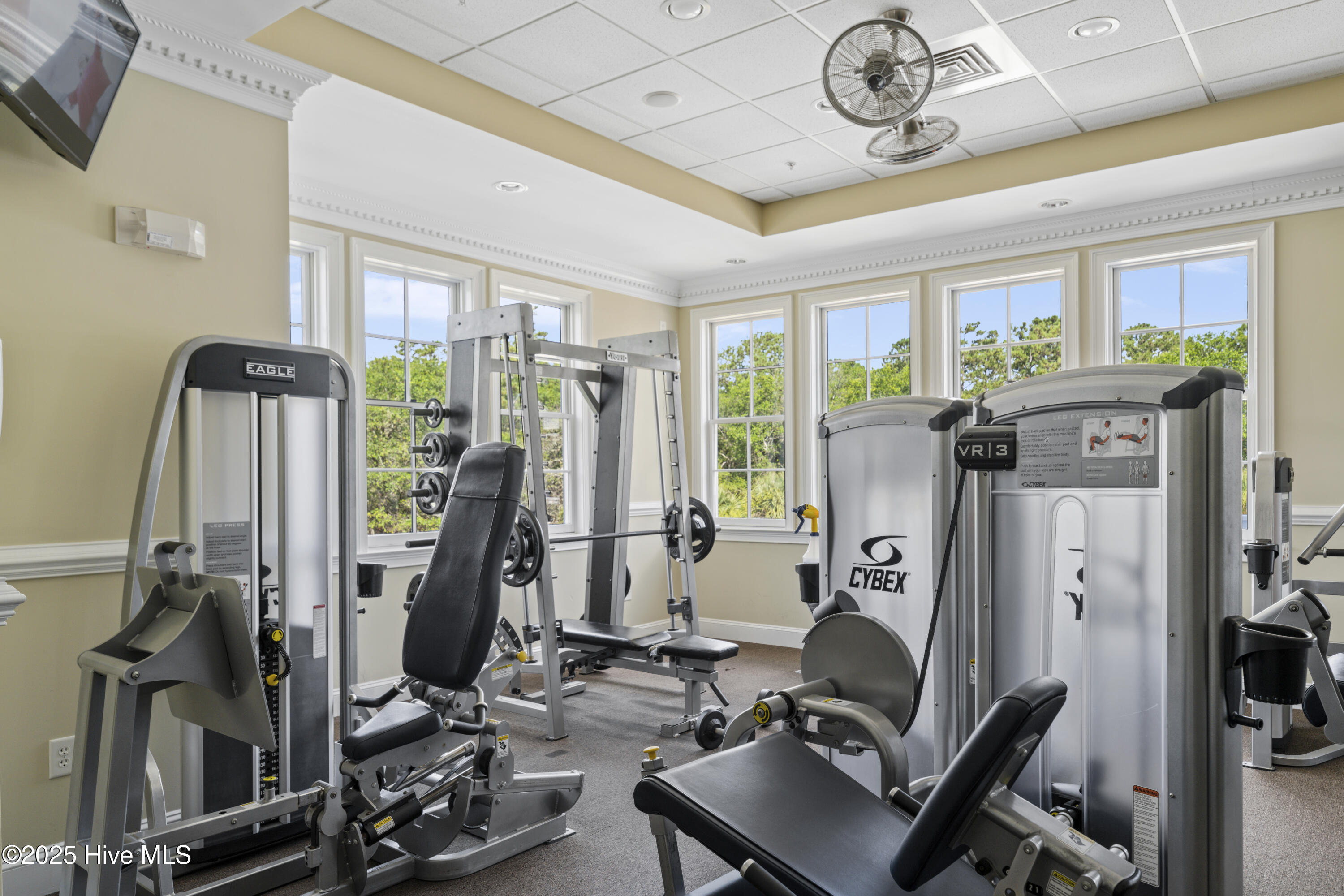 100493964 | Photo 36