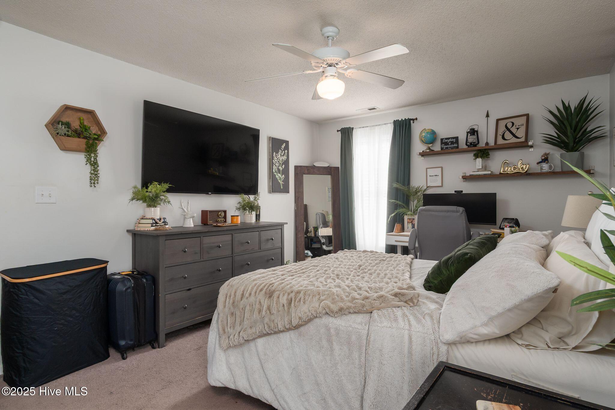 100537602 | Photo 23