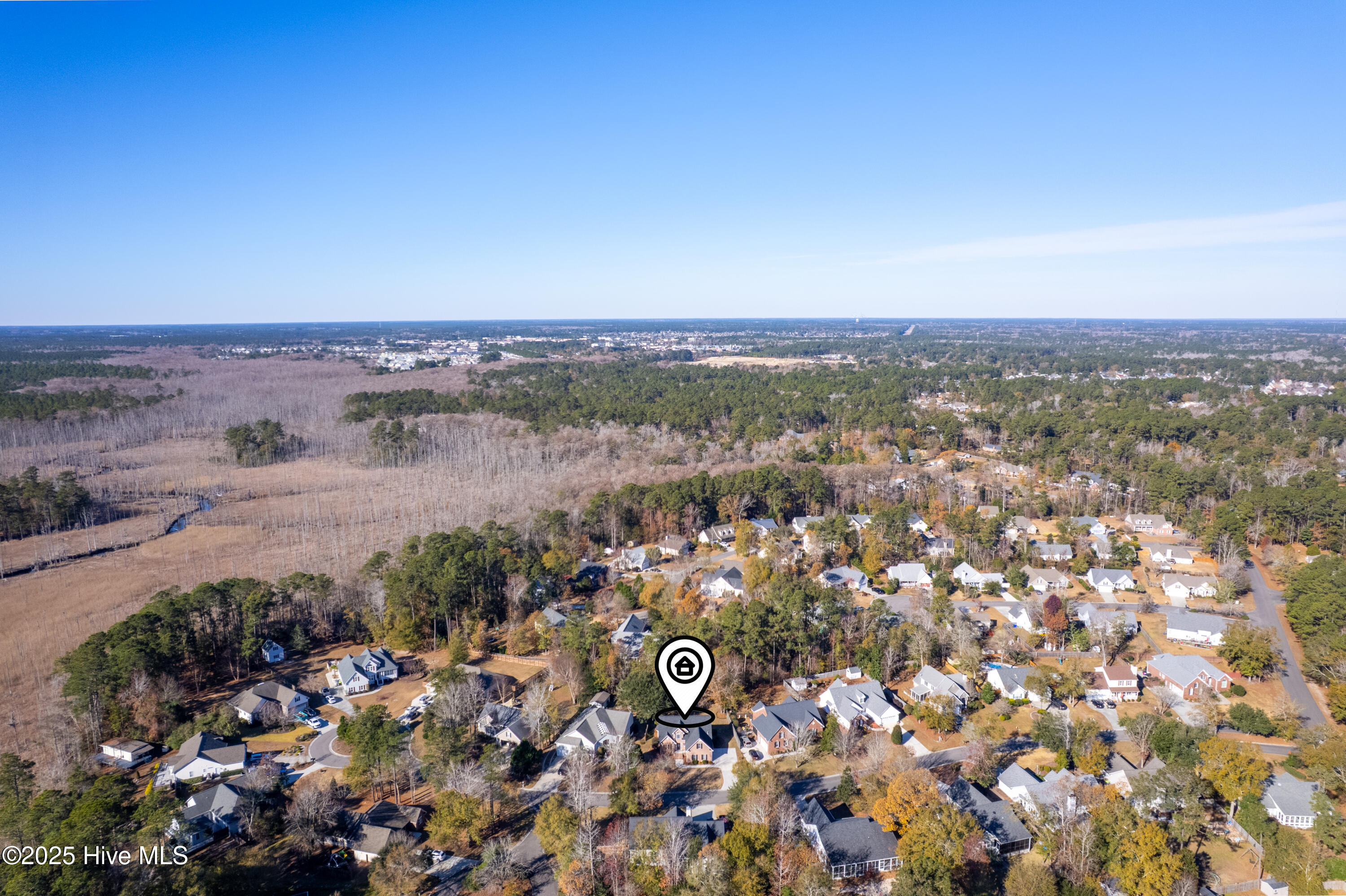 100545806 | Photo 49