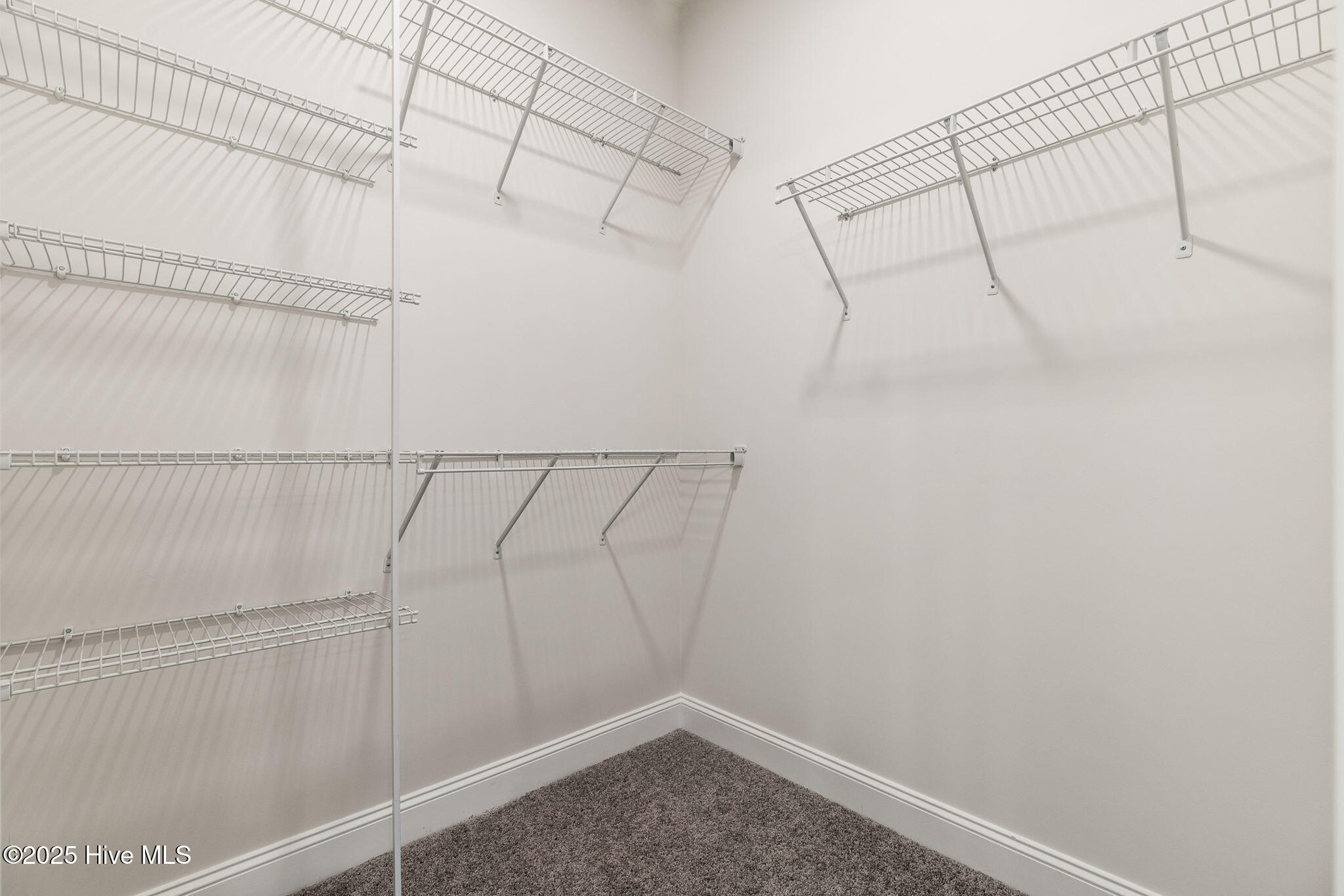 100513726 | Photo 37