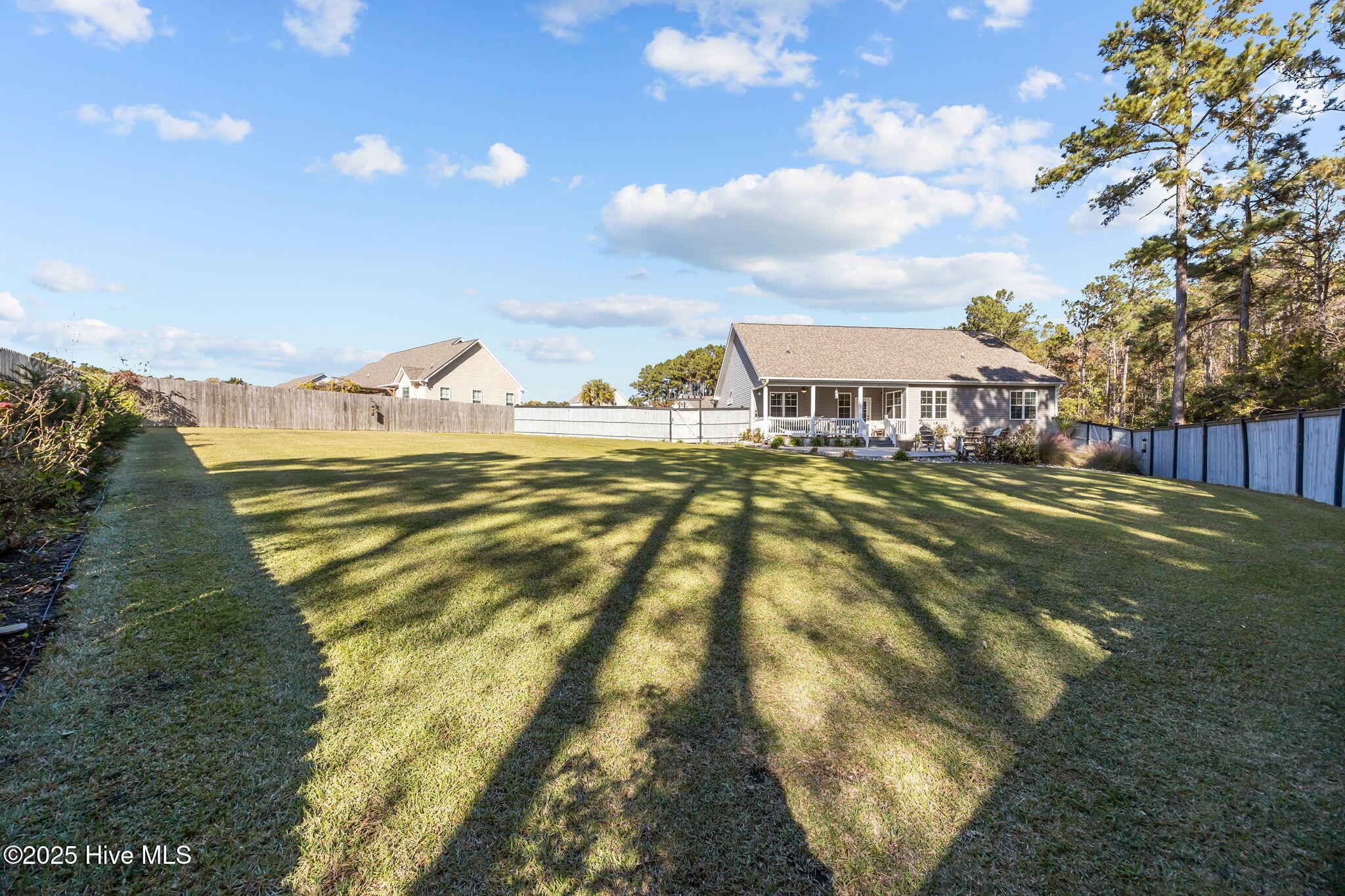 100541215 | Photo 46