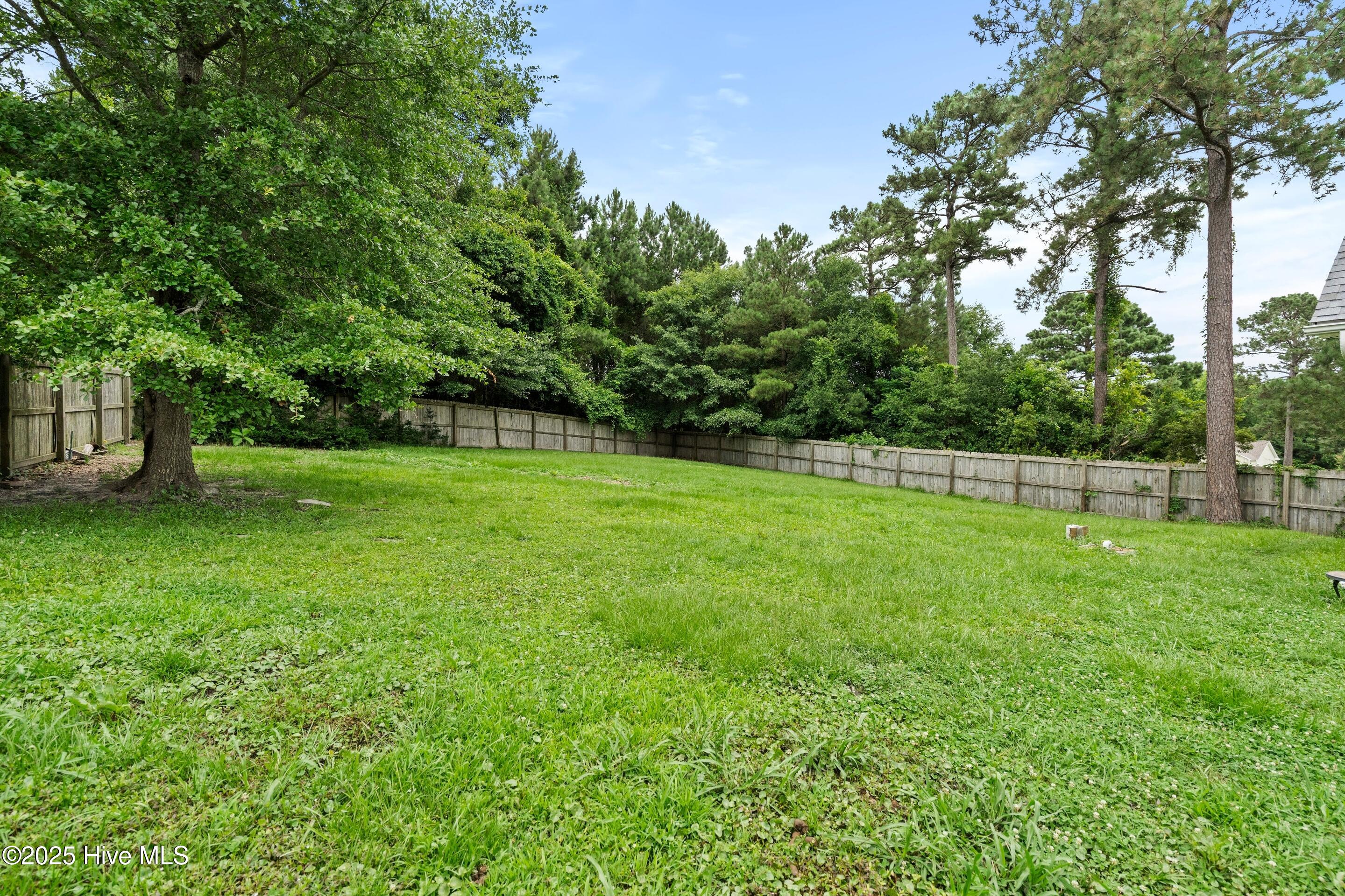 153 Lawndale Lane, Sneads Ferry, NC 28460 – photo 22: Backyard