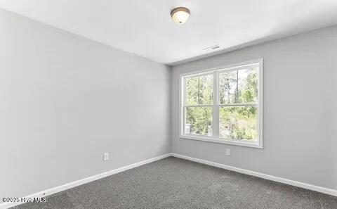 100539183 | Photo 11