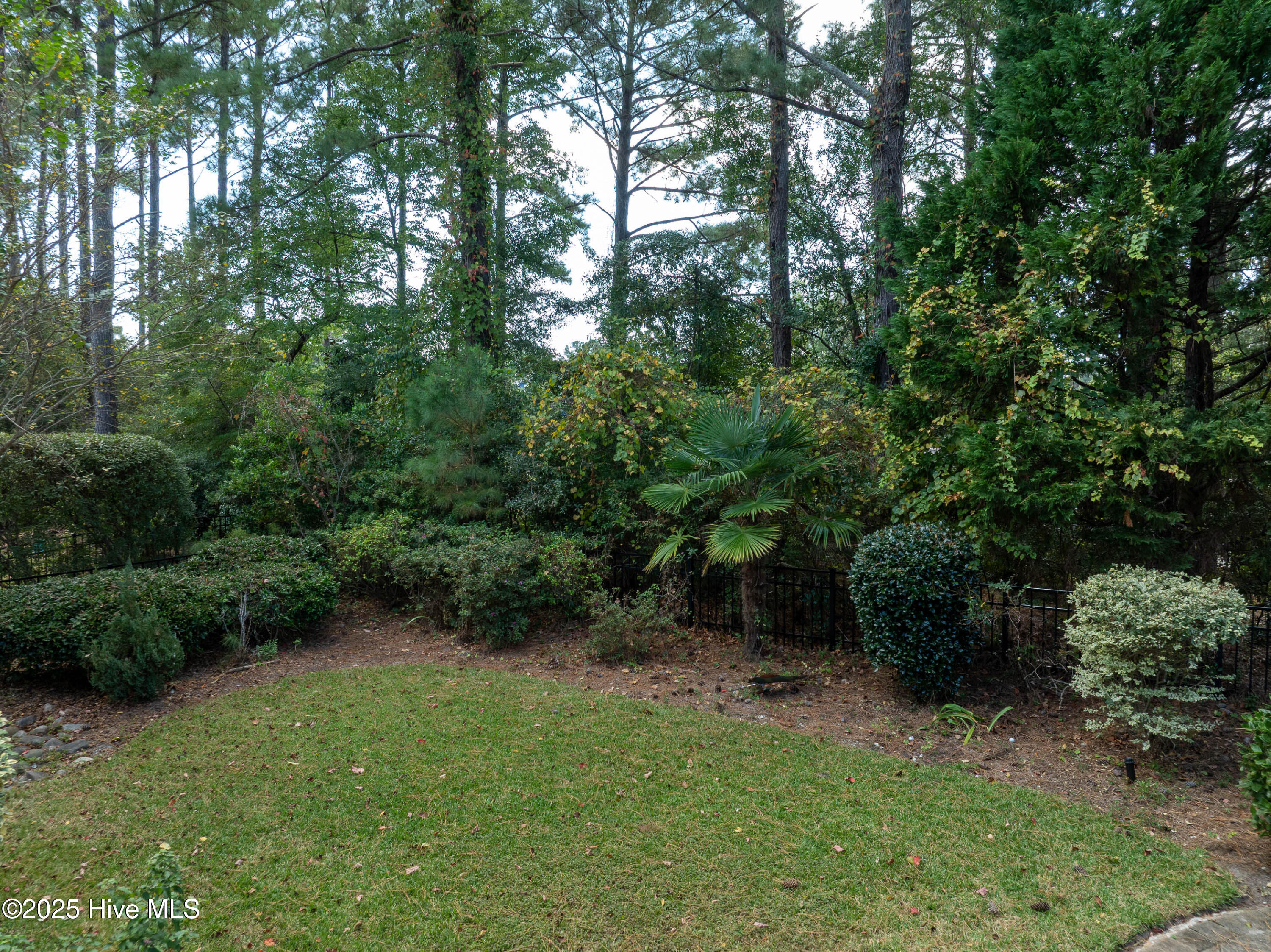 100534537 | Photo 42