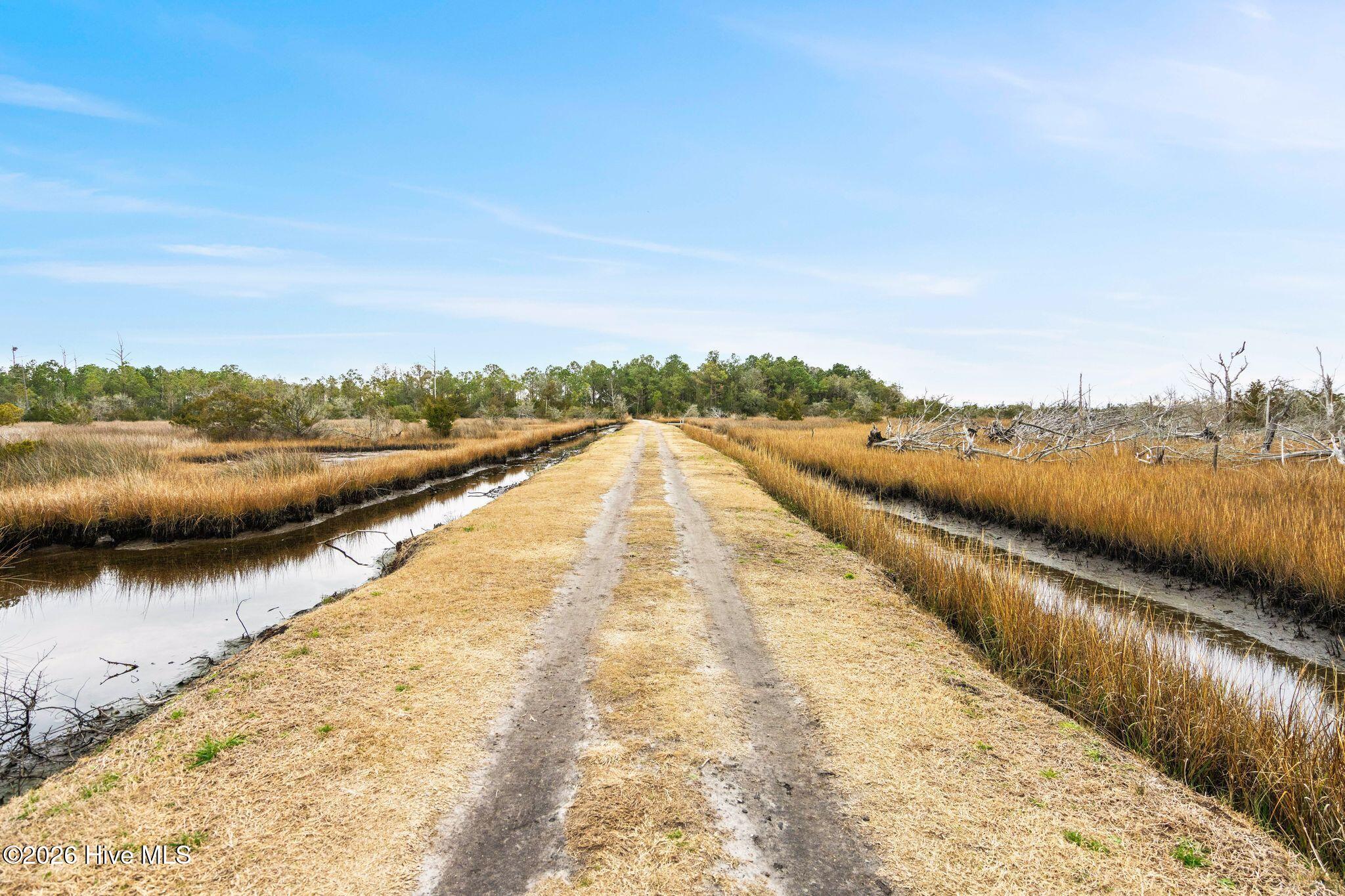 100558926 | Photo 84