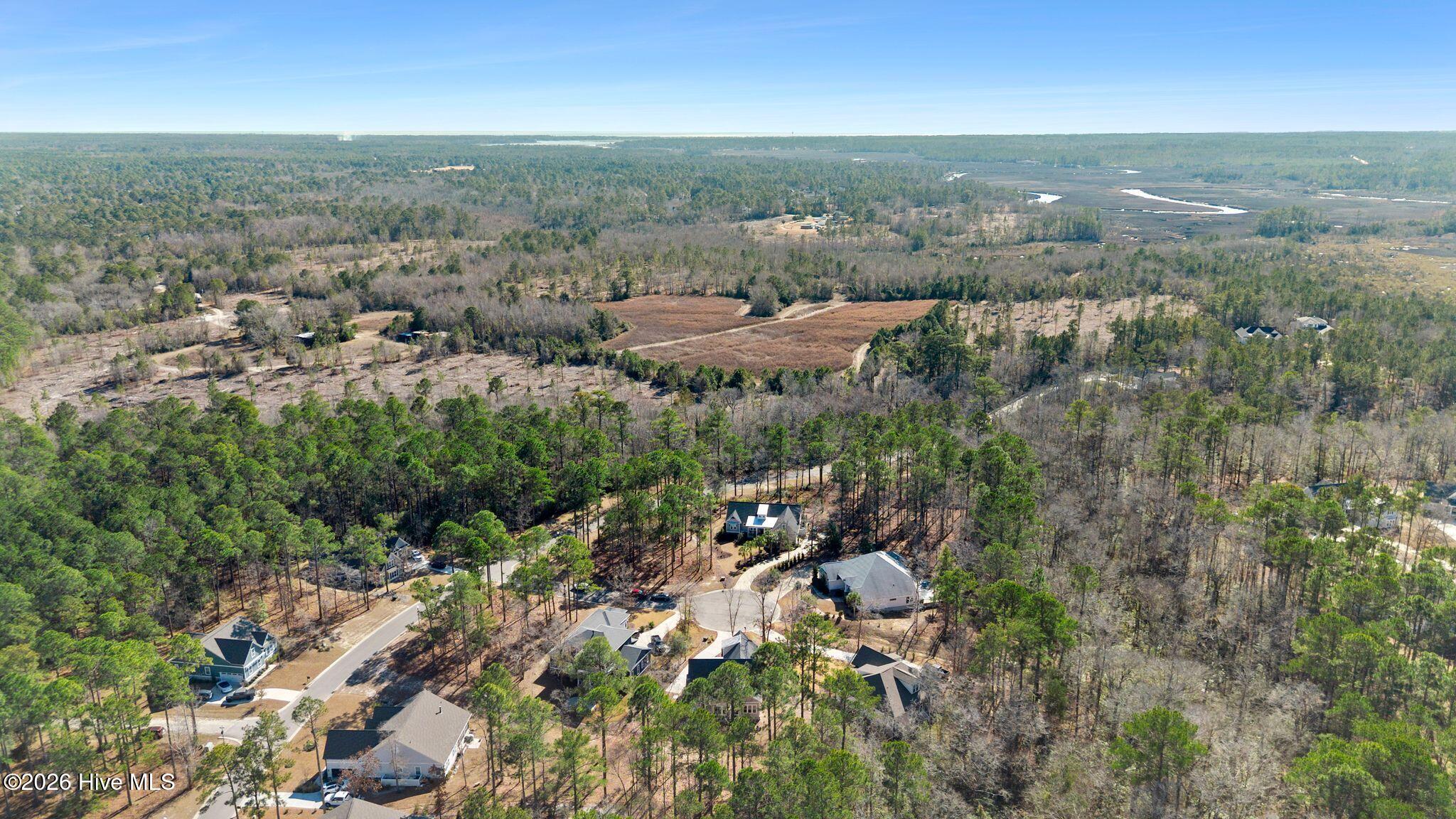 100551668 | Photo 105