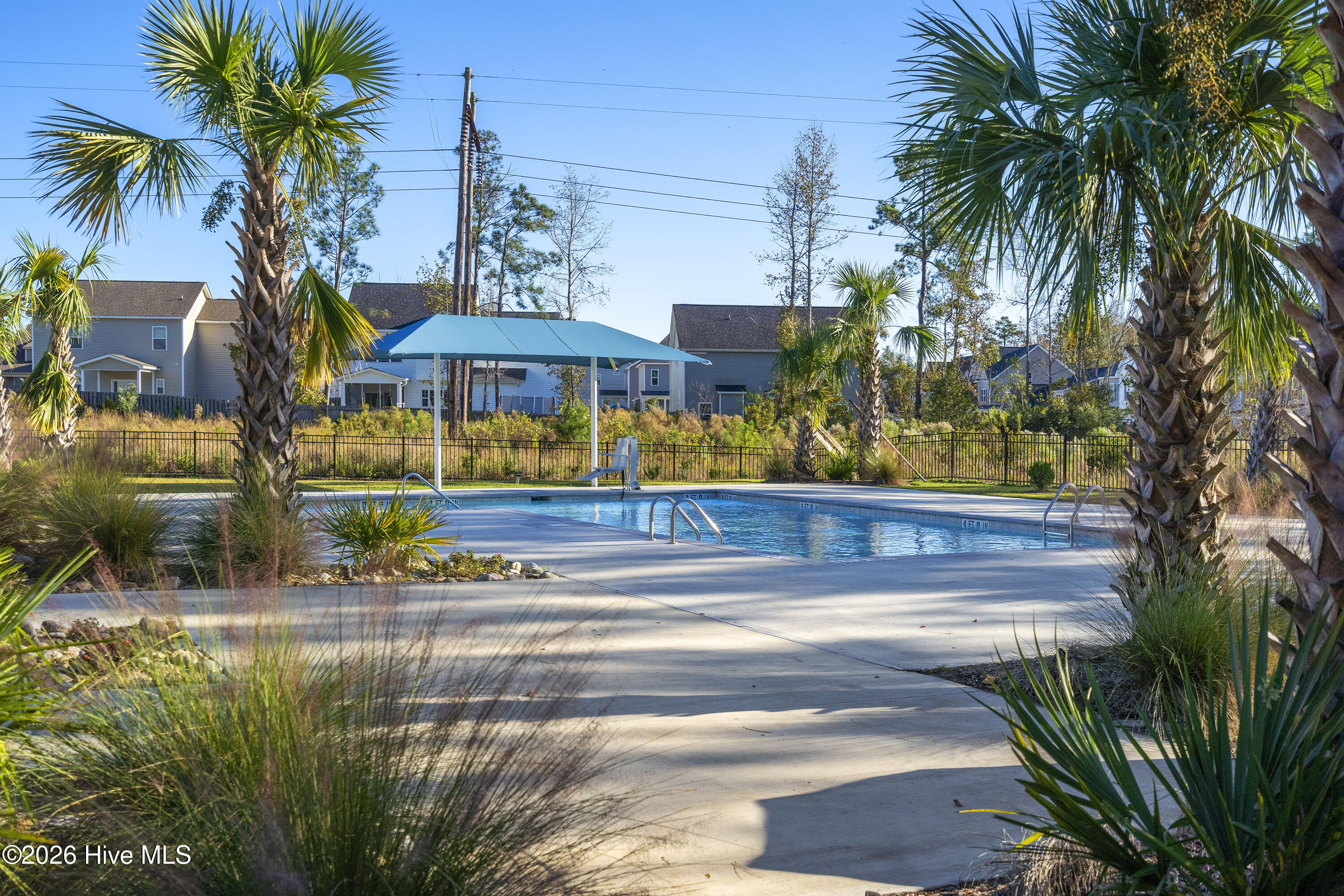 100569792 | Photo 69