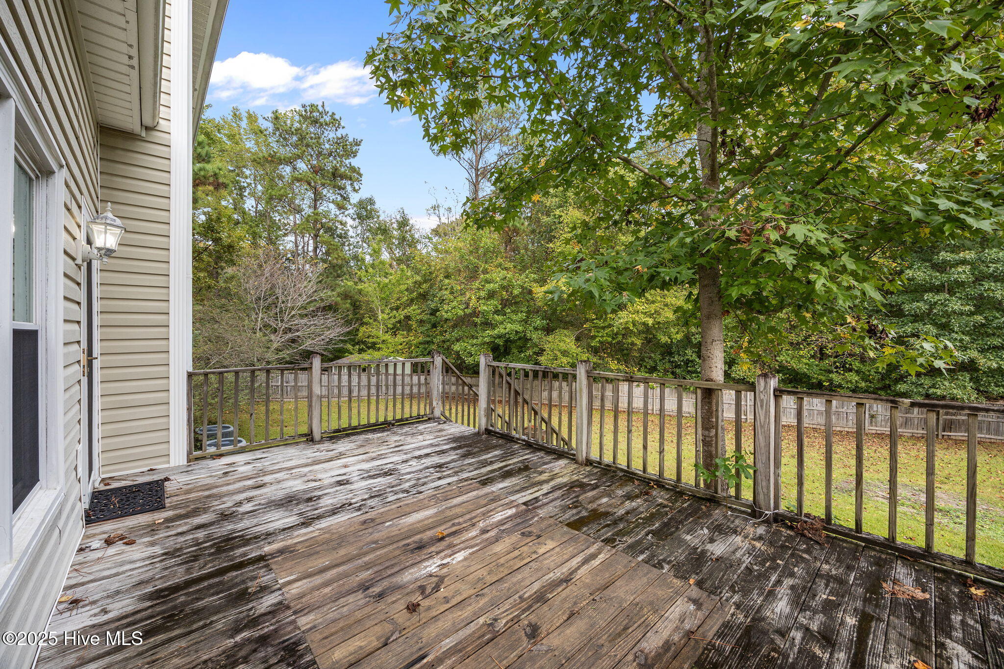 100534053 | Photo 54