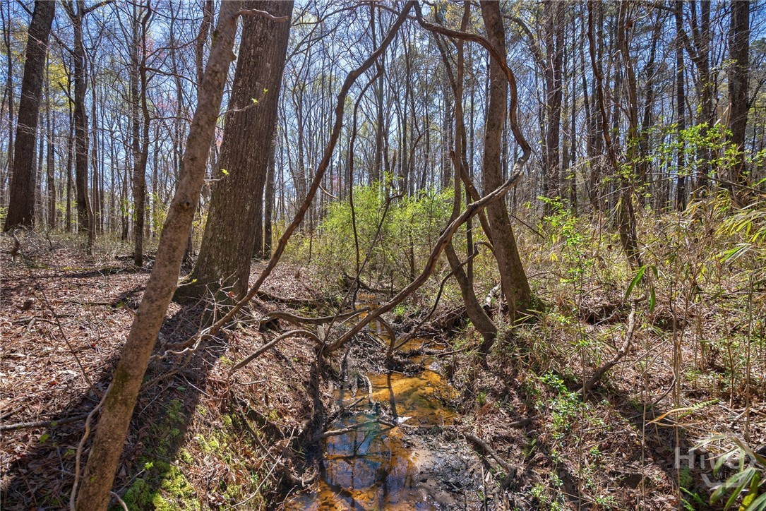 0 Poplar Street, Monroe, GA, 30655