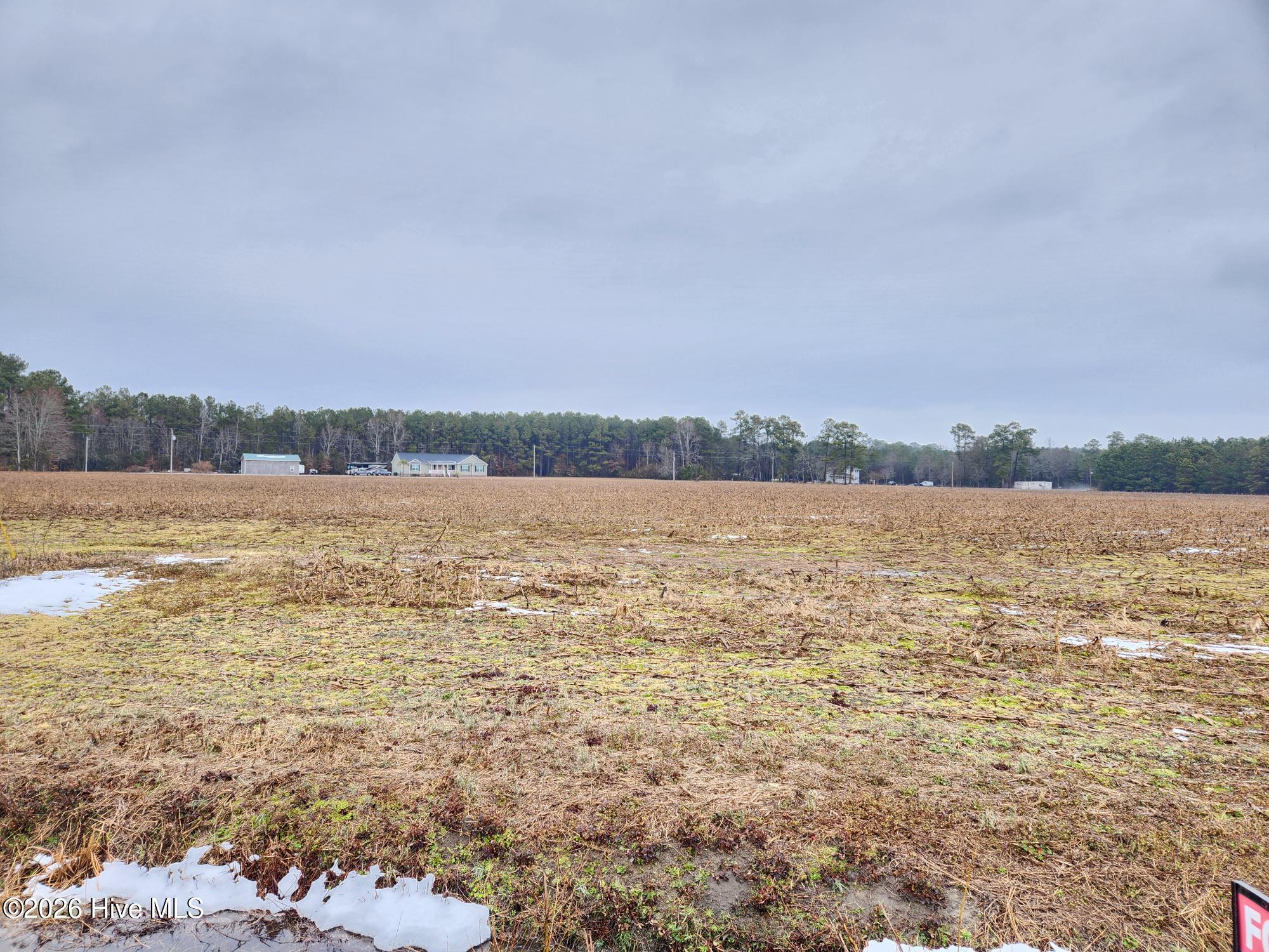 100553251 | Photo 10