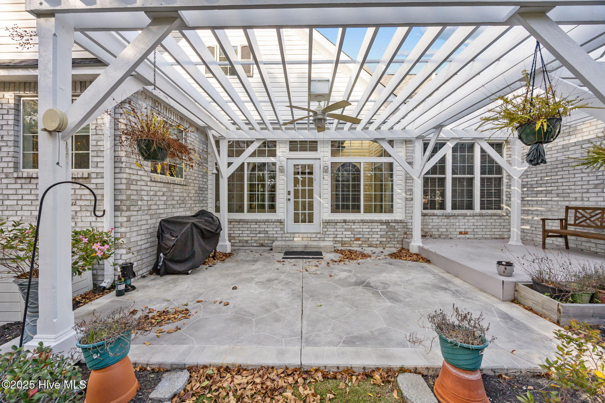 100543036 | Photo 37