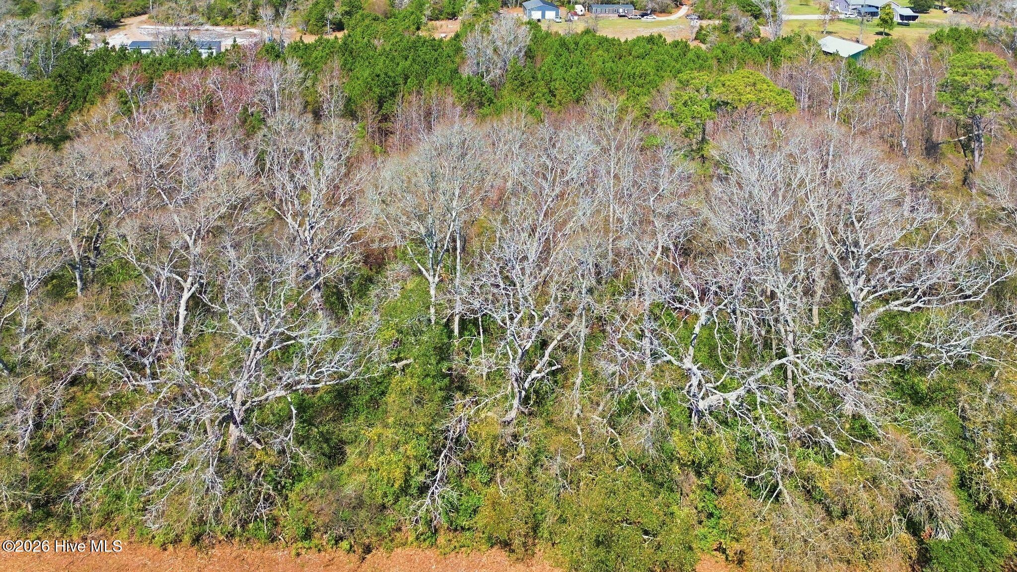 100560126 | Photo 22