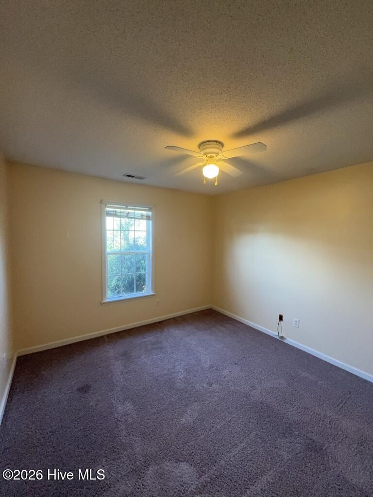 100563532 | Photo 15