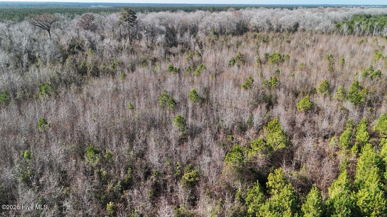 Homes for sale in Maysville, NC | 0 White Oak River Rd, Maysville, NC 28555 | MLS# 100549470