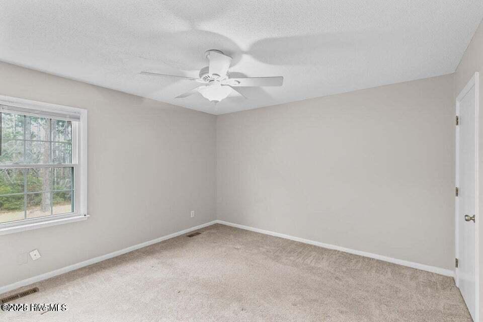 100565233 | Photo 12