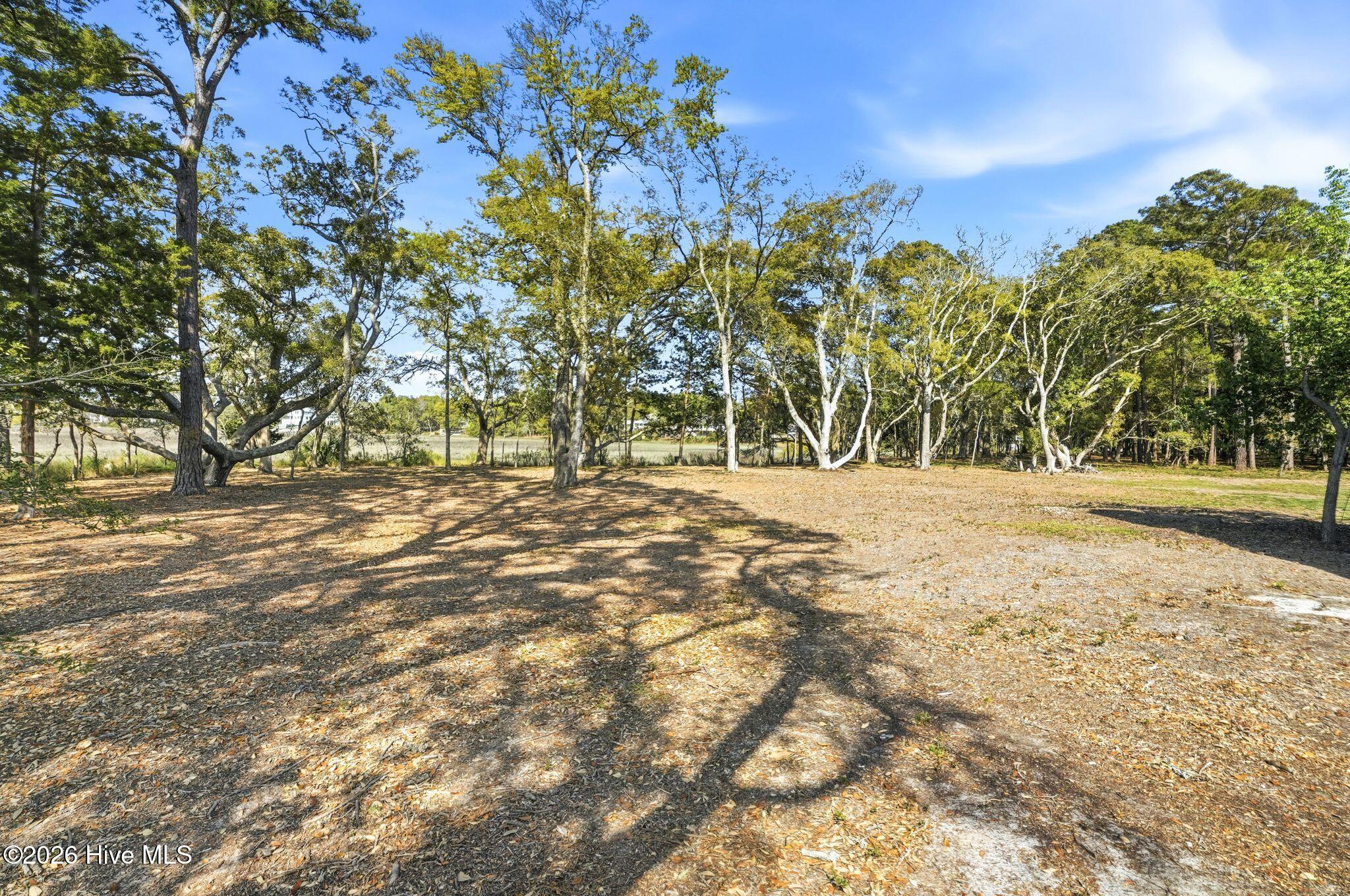 100565055 | Photo 64