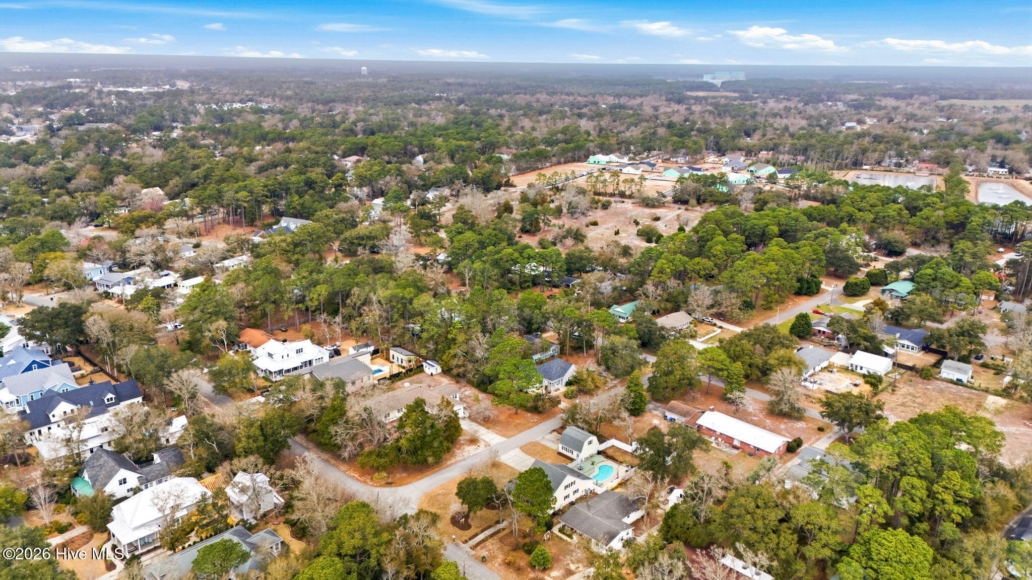 100557062 | Photo 43