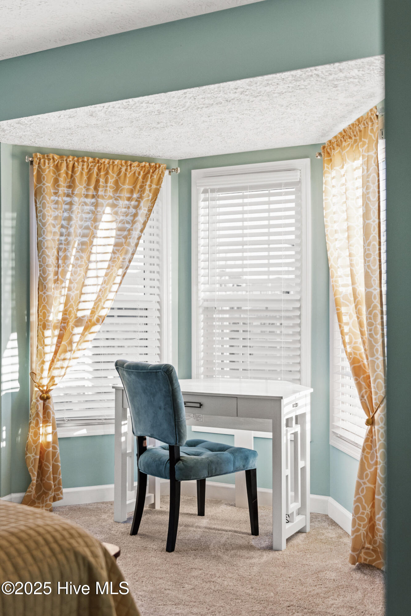 100557763 | Photo 22