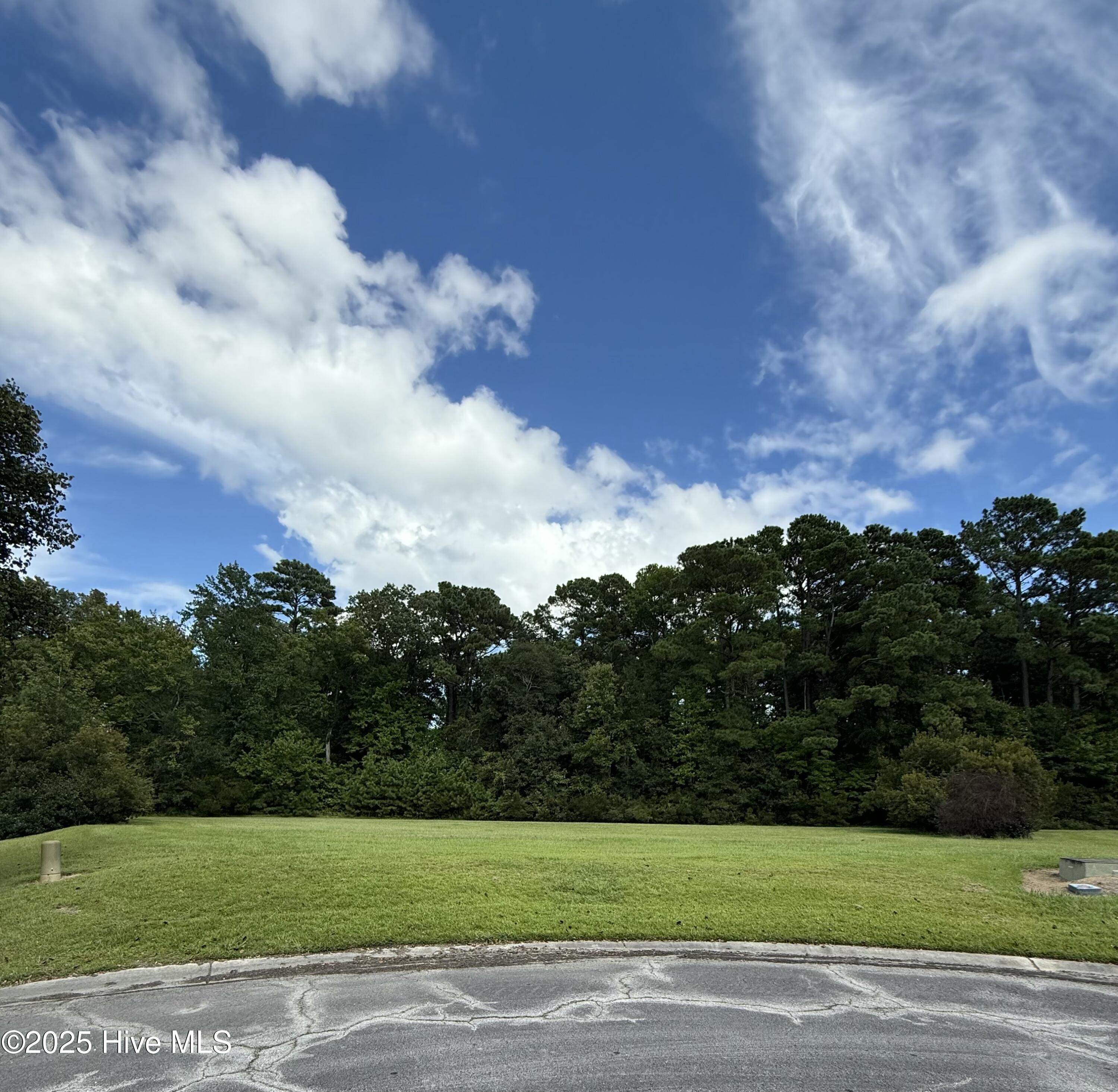 Homes for sale in Arapahoe, NC | 61 Edna Ct, Arapahoe, NC 28510 | MLS# 100529467