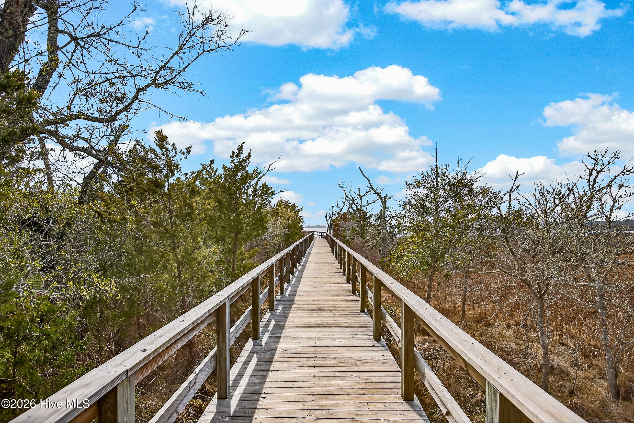 100552254 | Photo 36