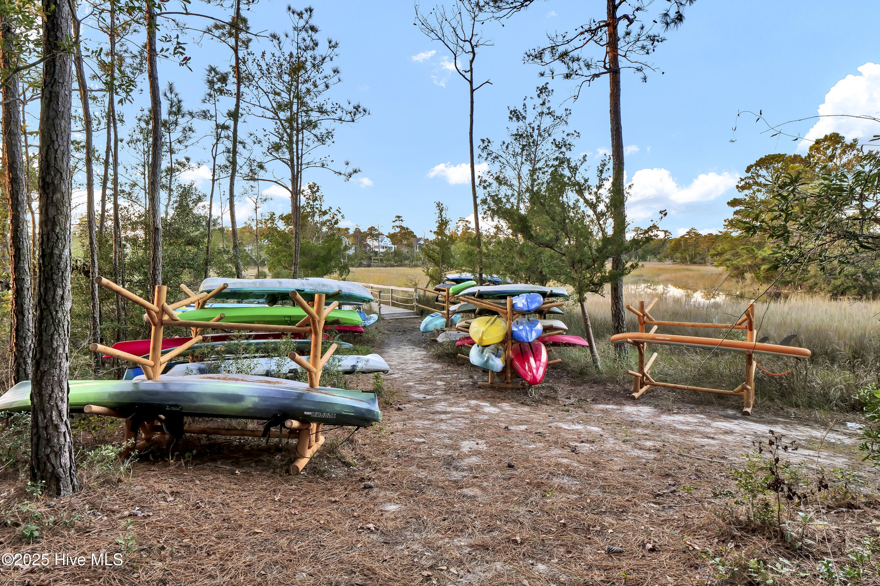 100534317 | Photo 89