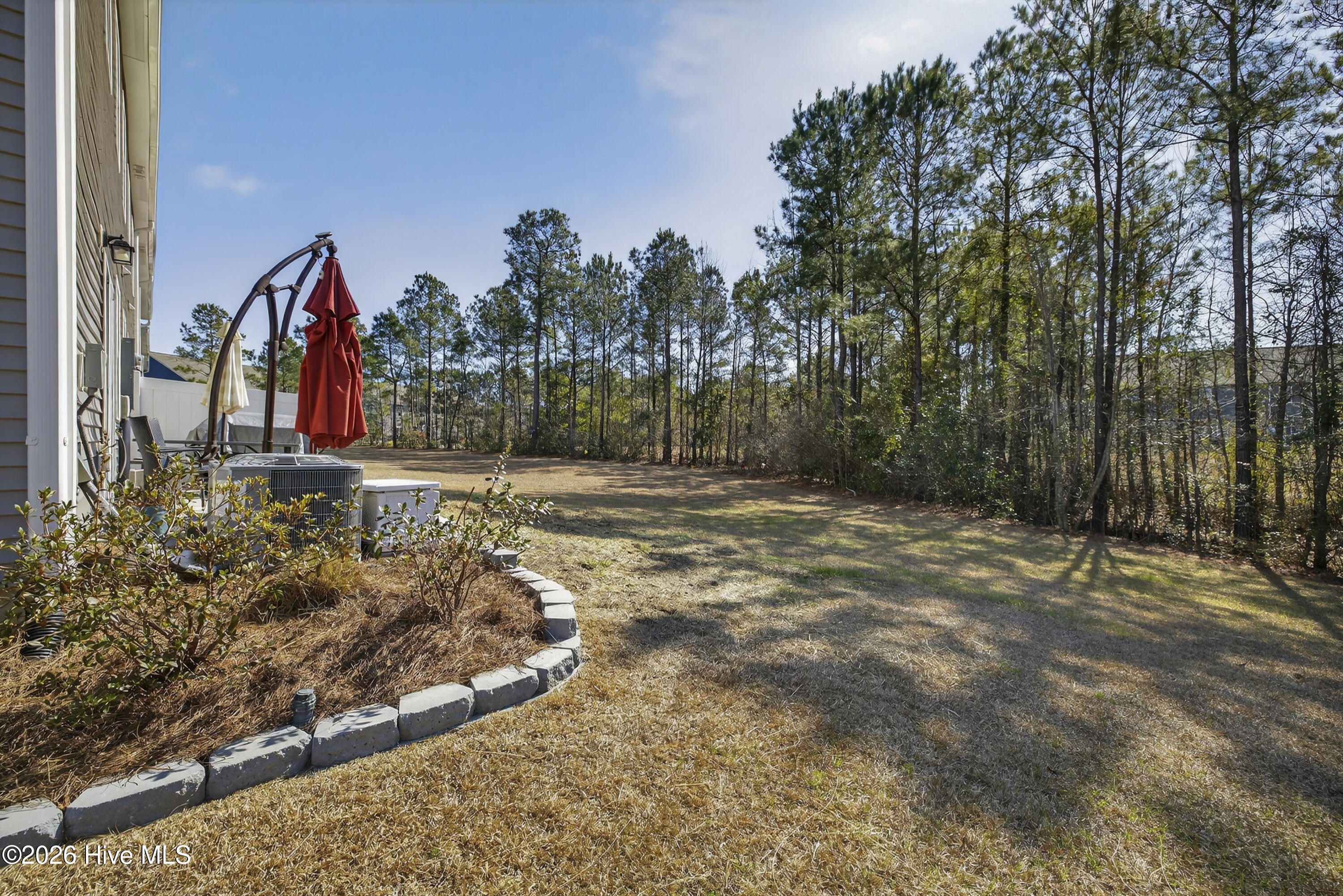 100555203 | Photo 42