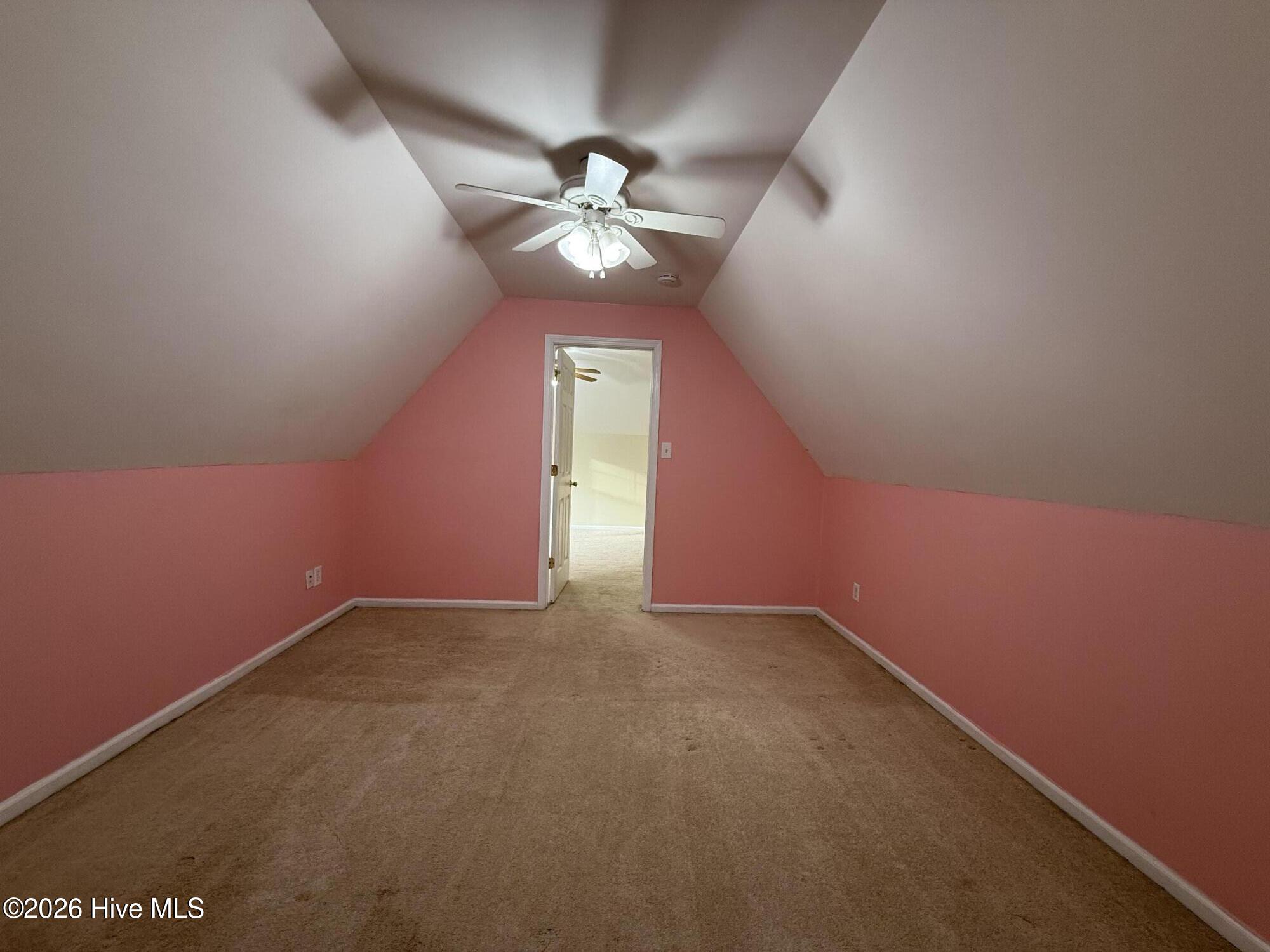 100552957 | Photo 17