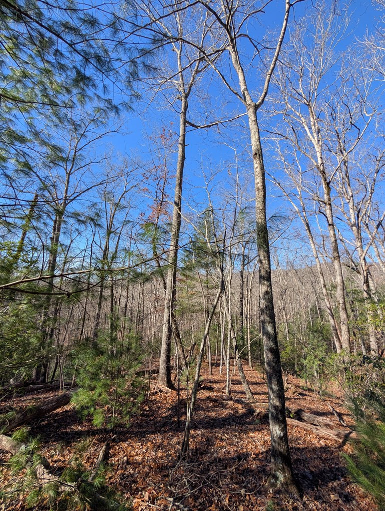 Exterior photo of LOT 31 Tower Falls Lane, Hayesville, NC 28904. MLS: 98500167