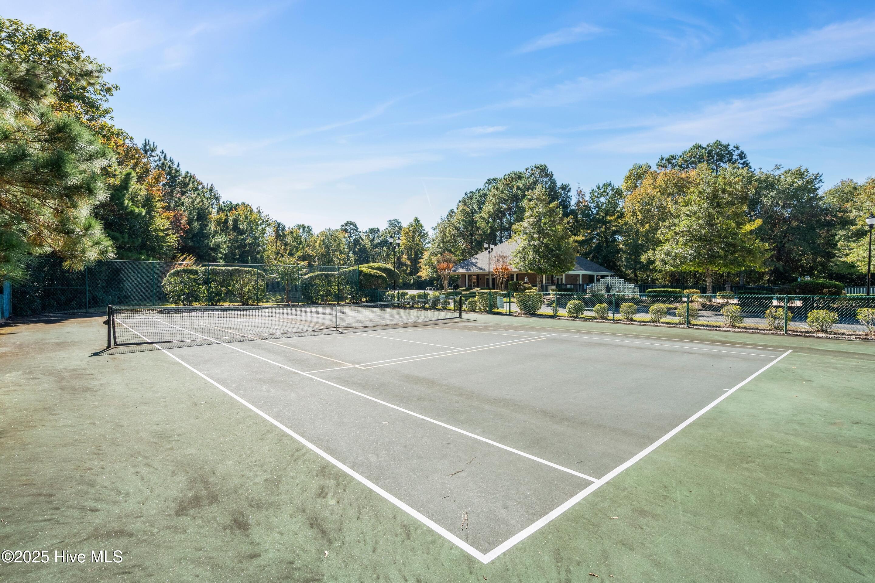 100563476 | Photo 51