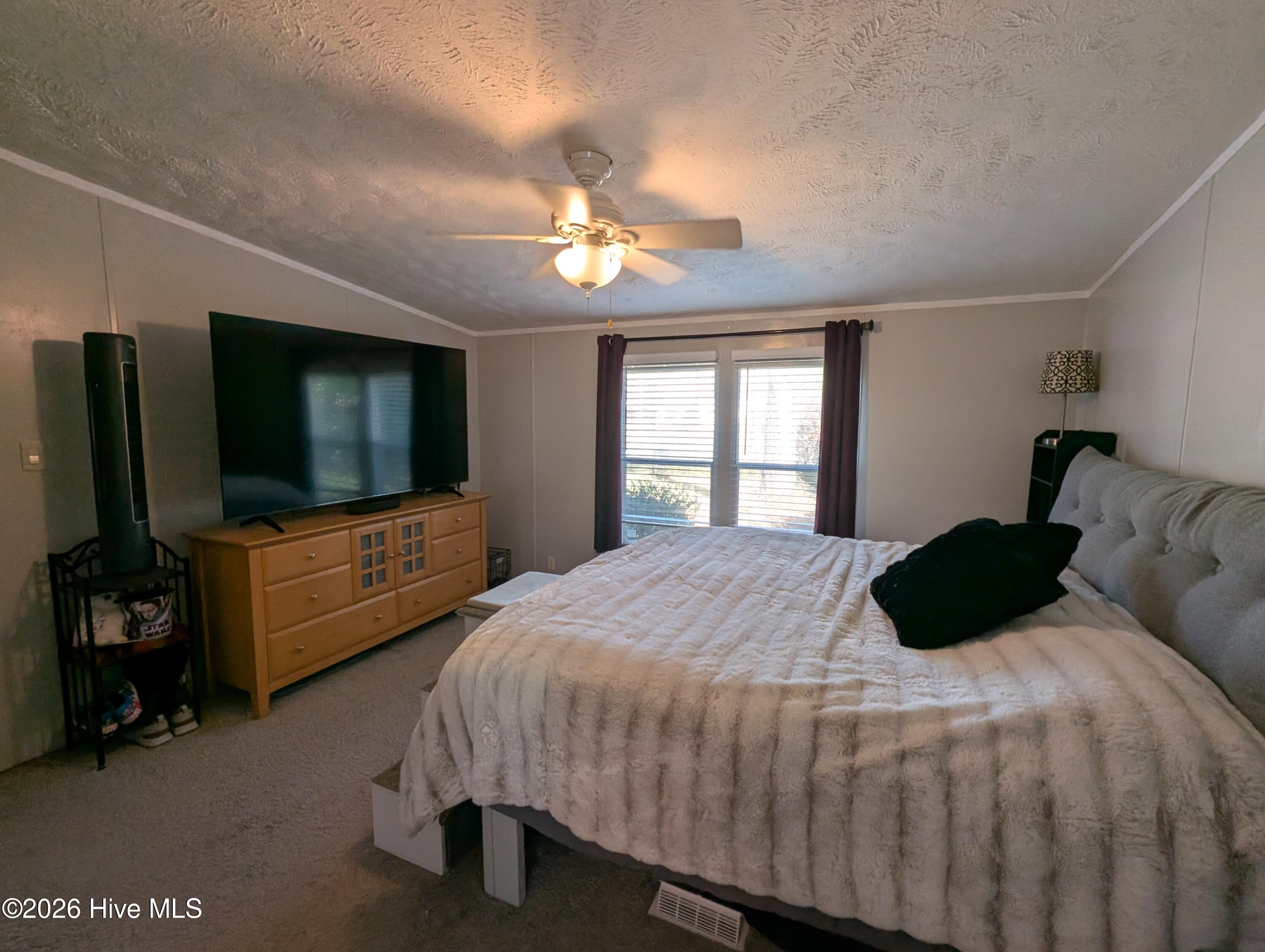 100556219 | Photo 35