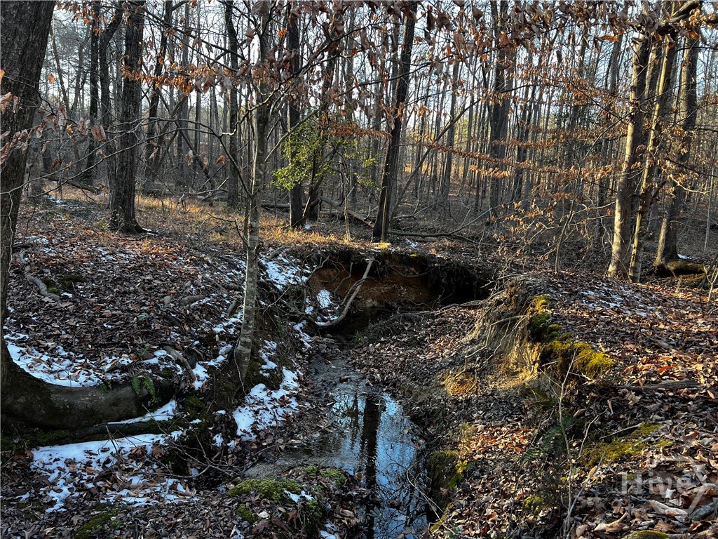 2285 Cherokee Road, Comer, GA, 30629