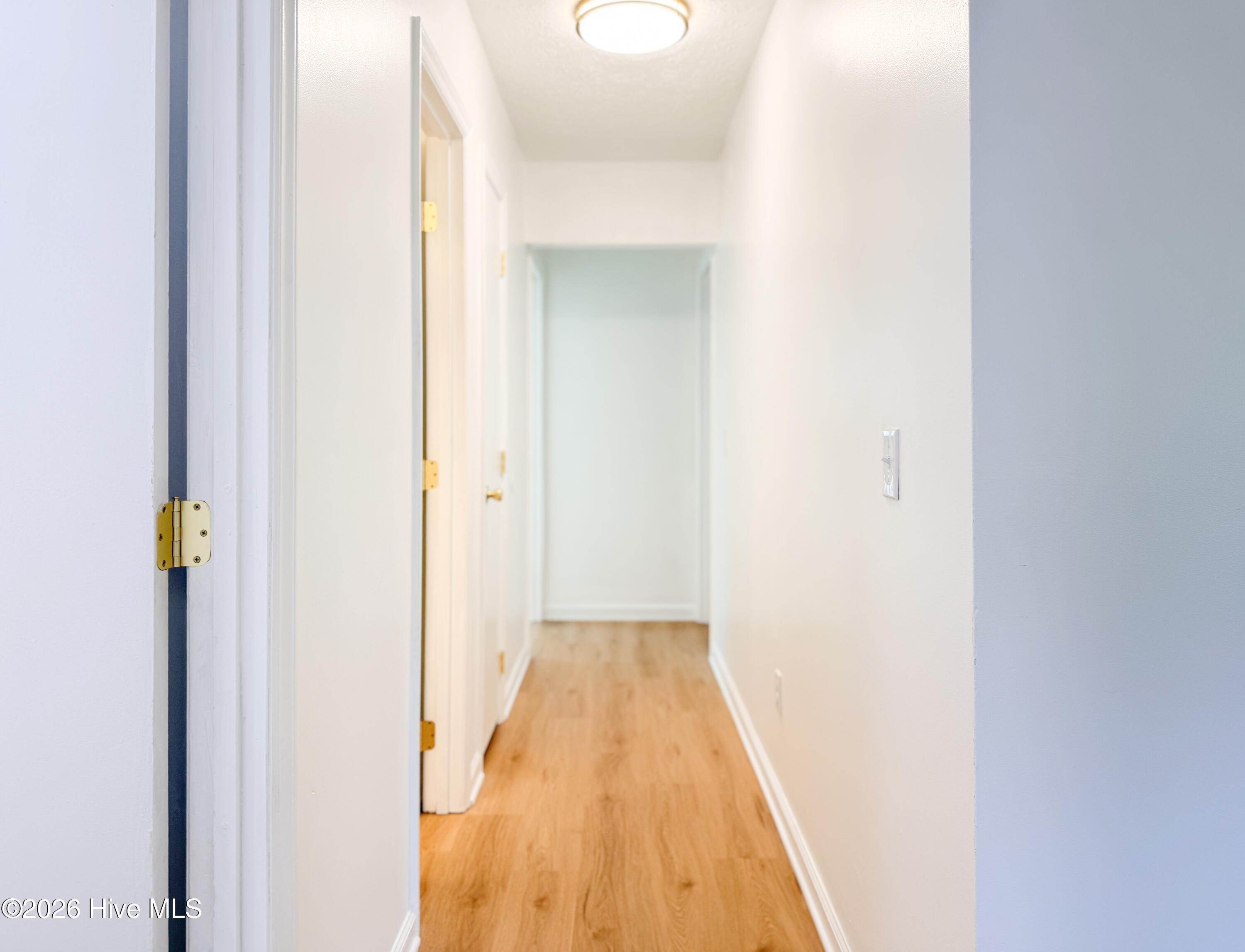 100568255 | Photo 41