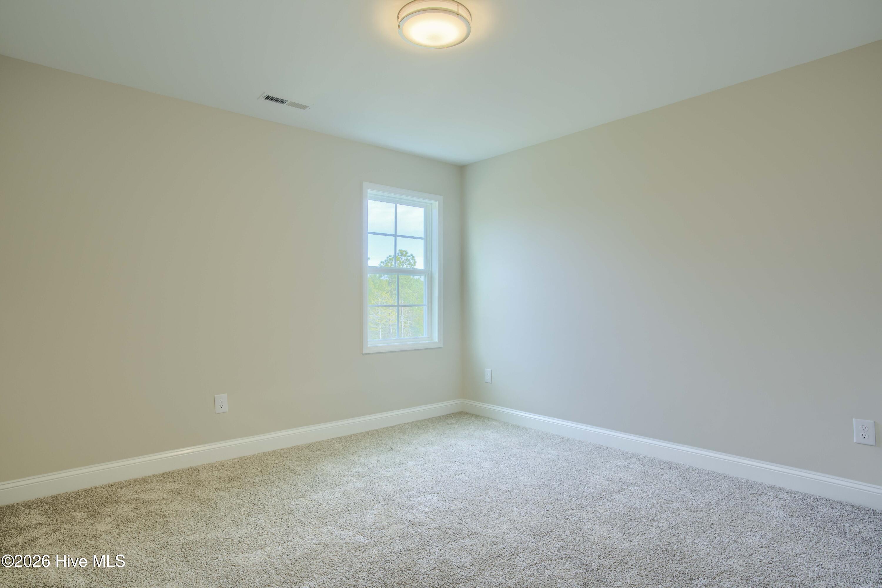 100552391 | Photo 16