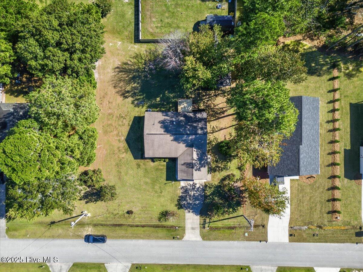 100537242 | Photo 46