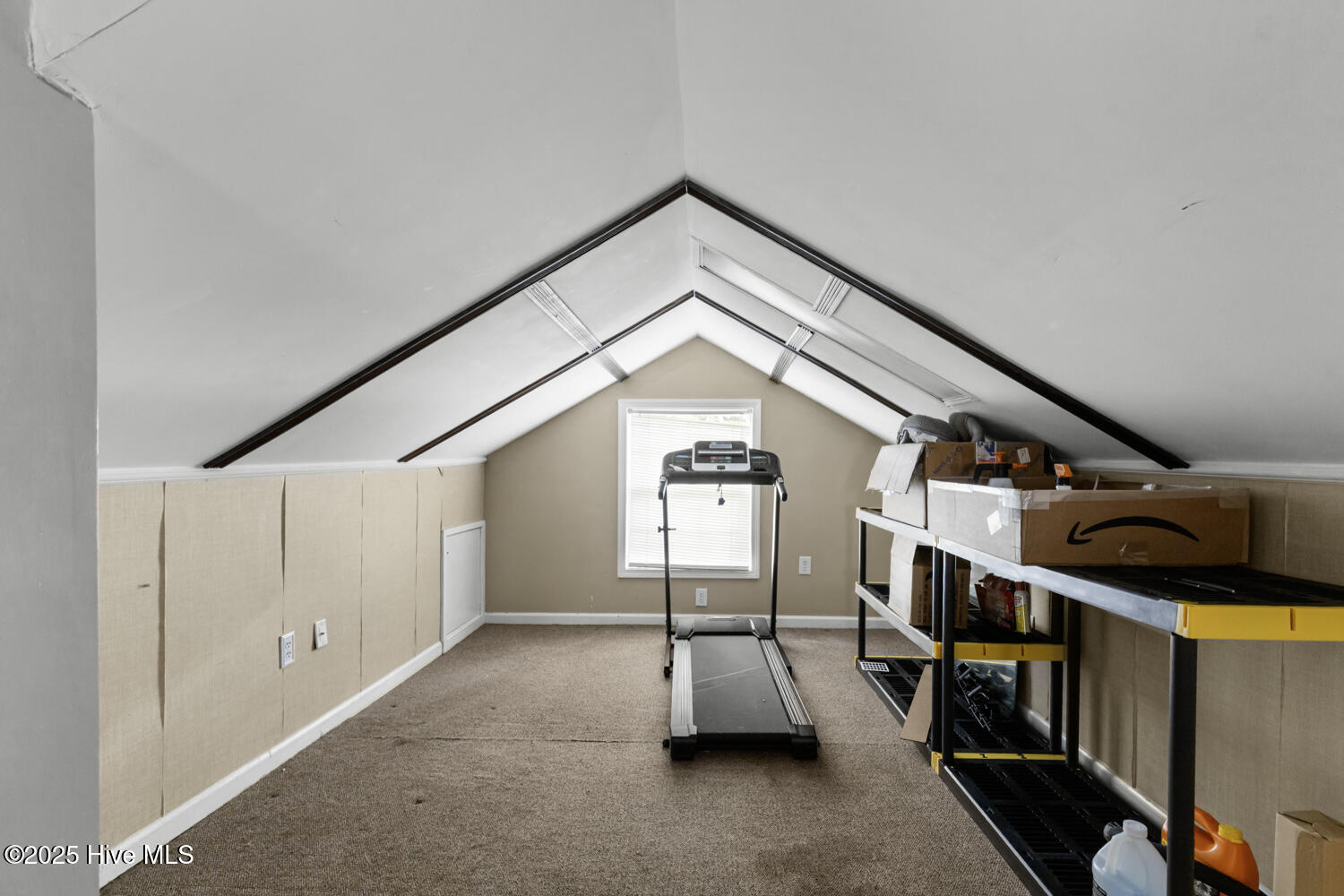 100533729 | Photo 19