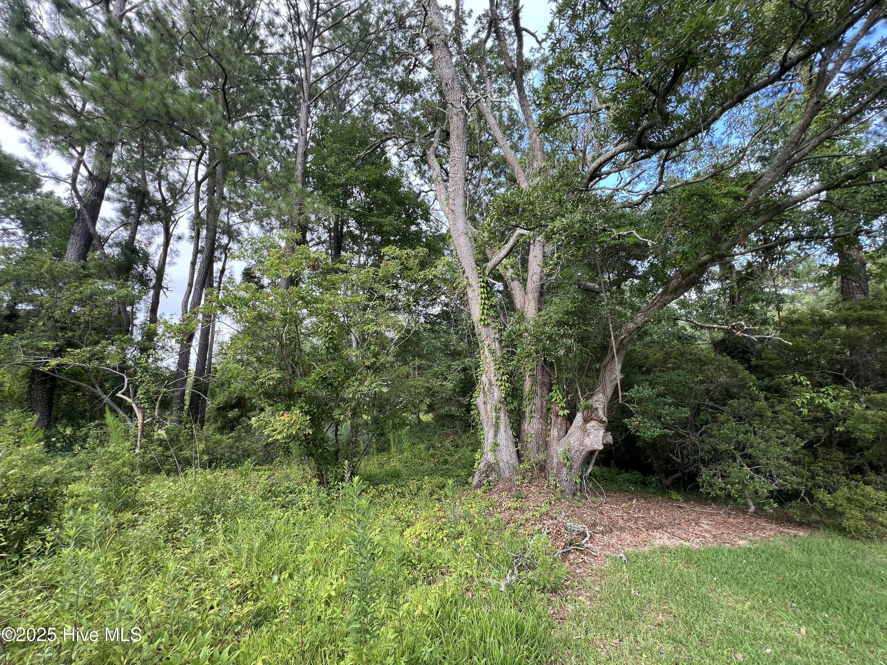 100521126 | Photo 16