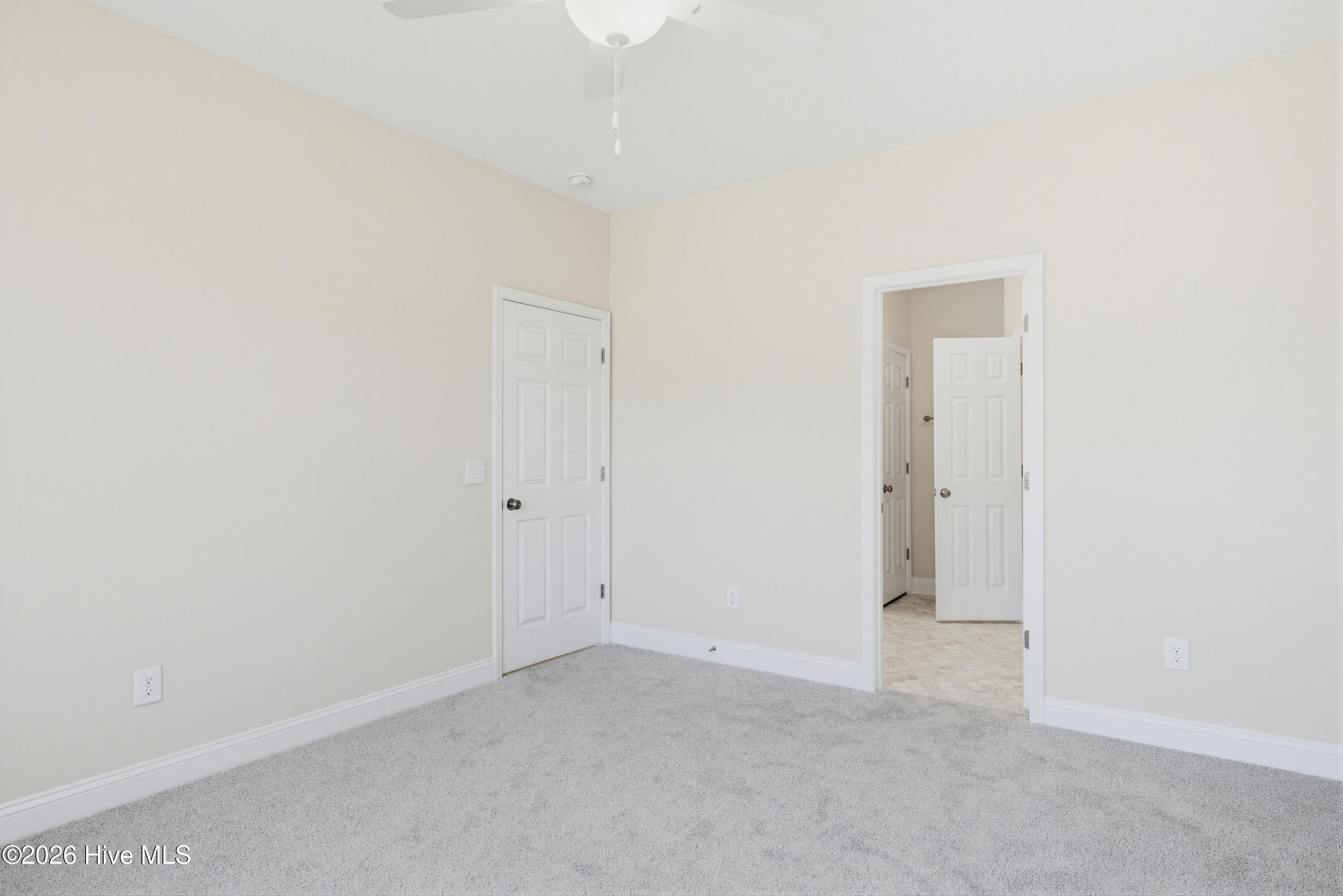 100567611 | Photo 12