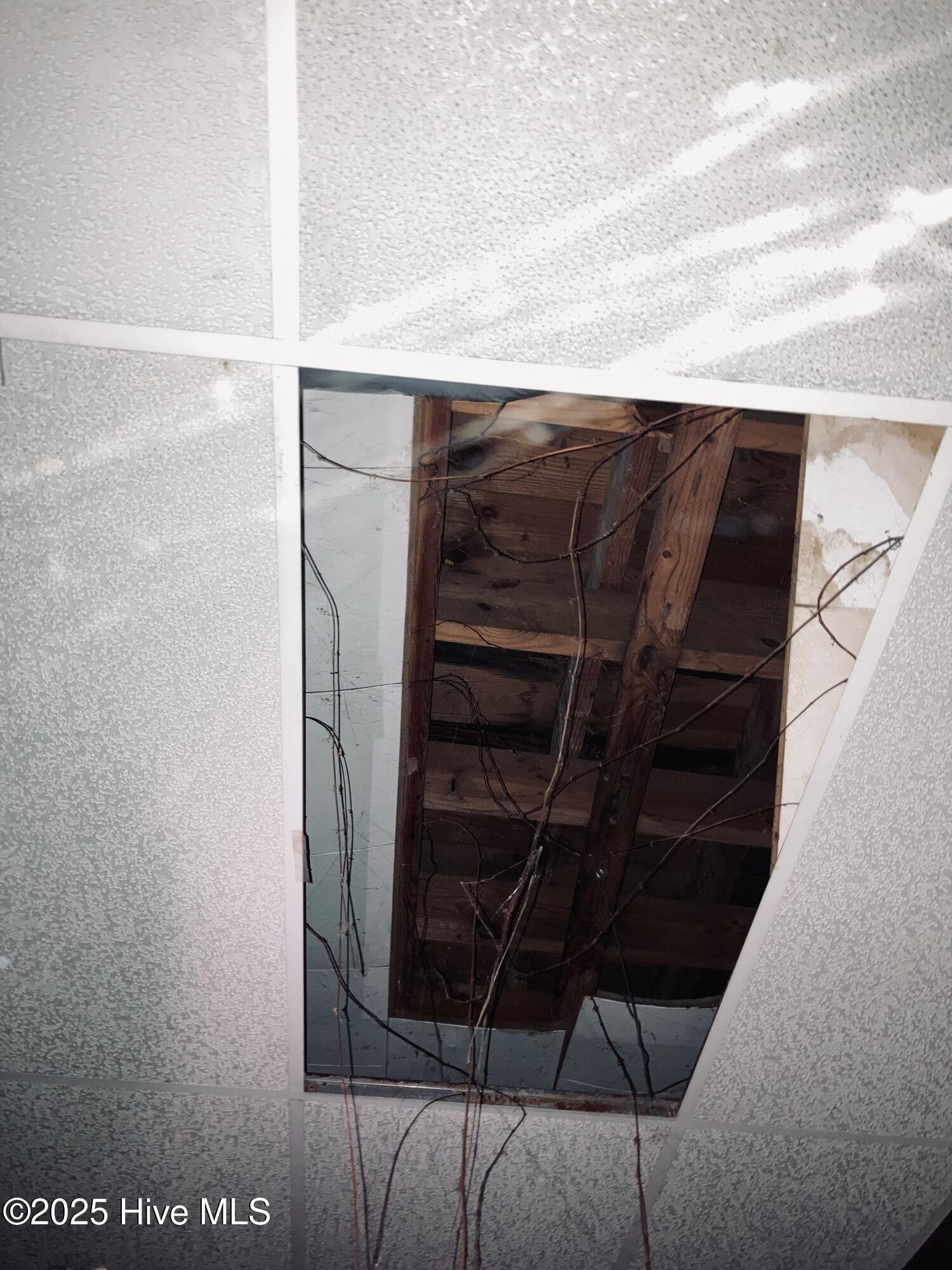 121 Pettigrew Street S, Wilson, NC, 27893