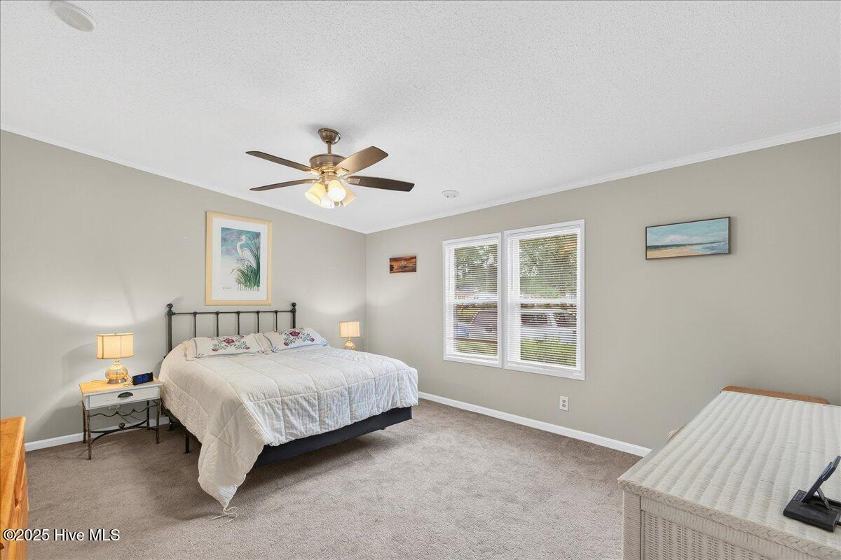 100535729 | Photo 28