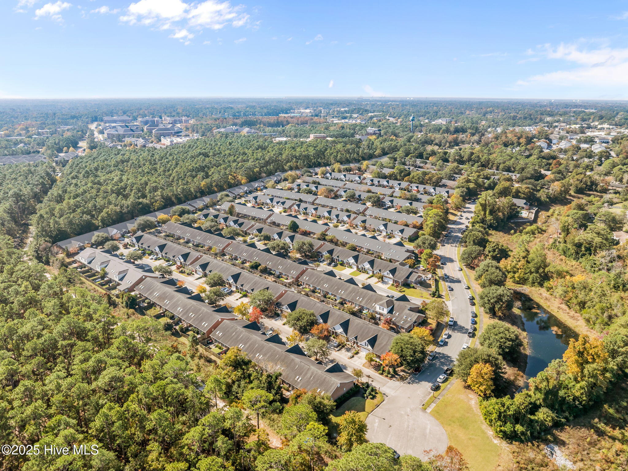 100540244 | Photo 59