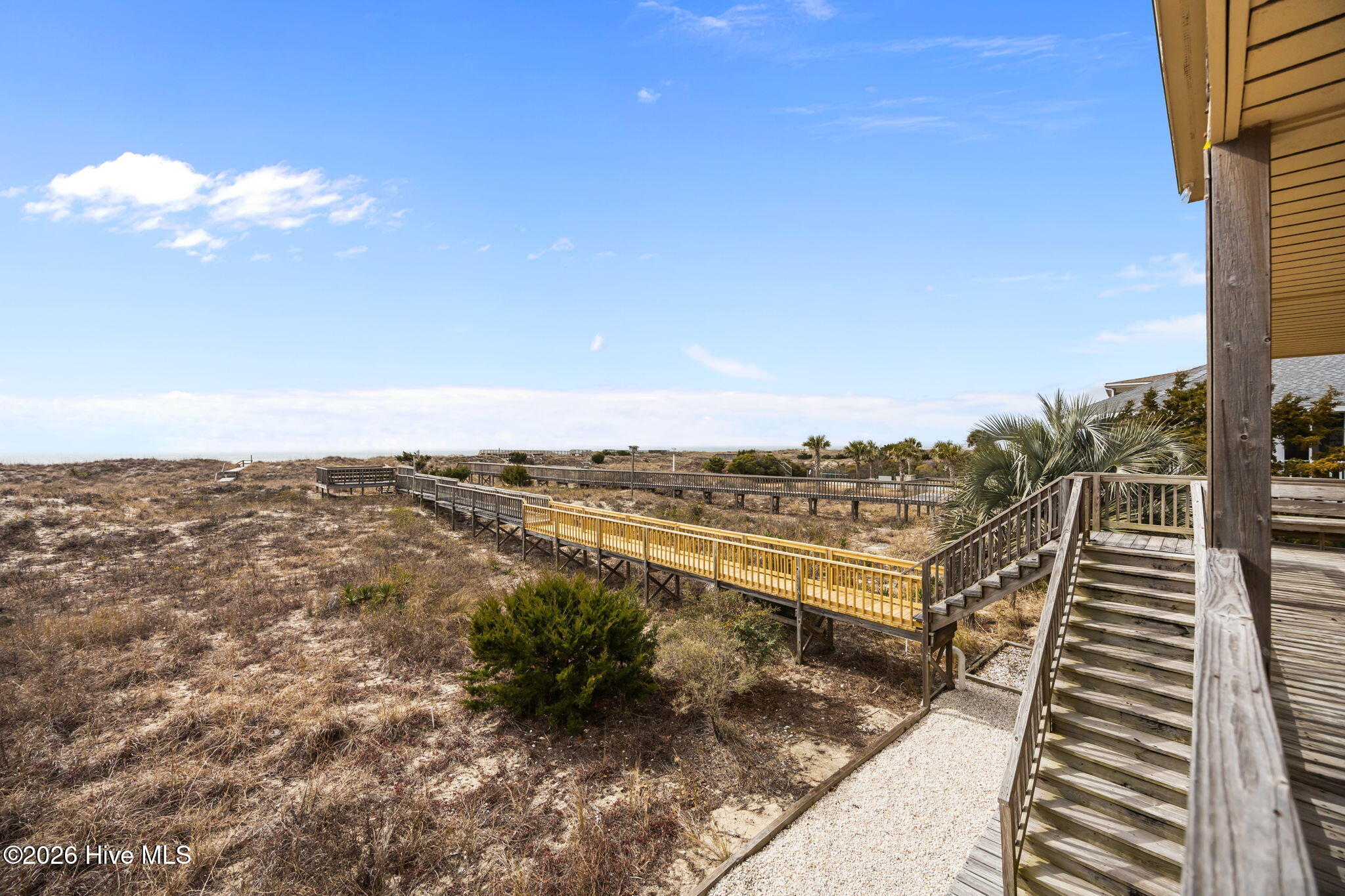 100554247 | Photo 63