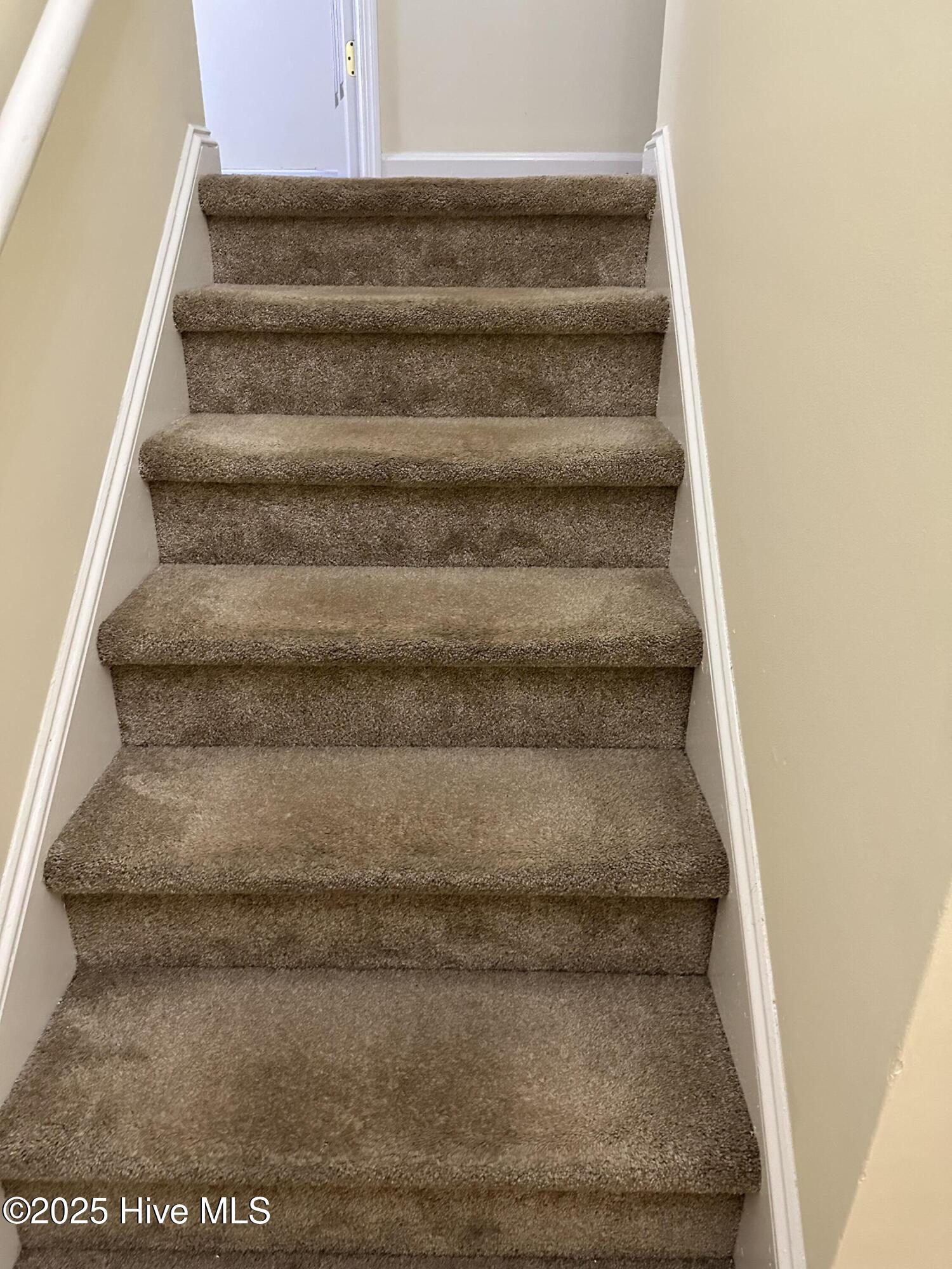 100537313 | Photo 10