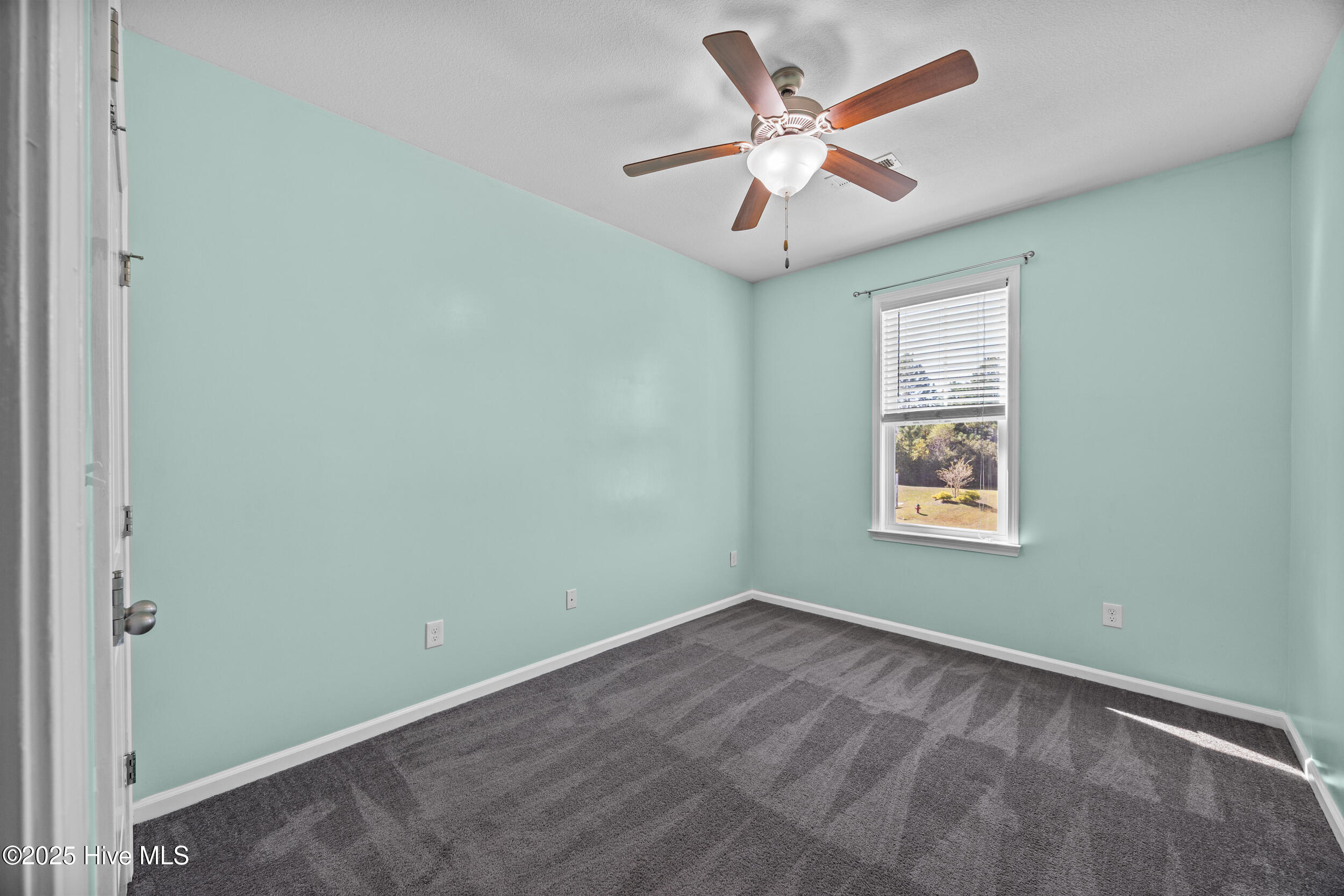 100538119 | Photo 30