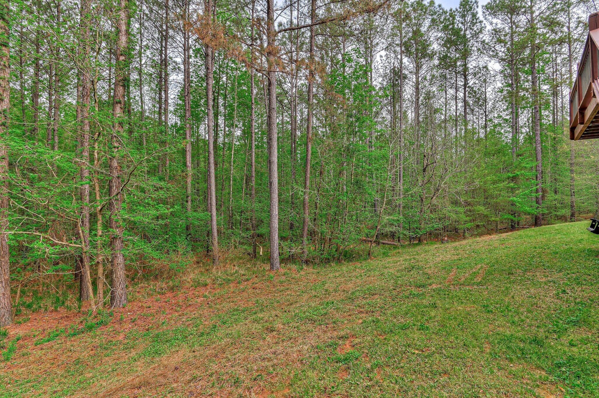 1067 Maiden Cane Way, Lincolnton, GA, 30817