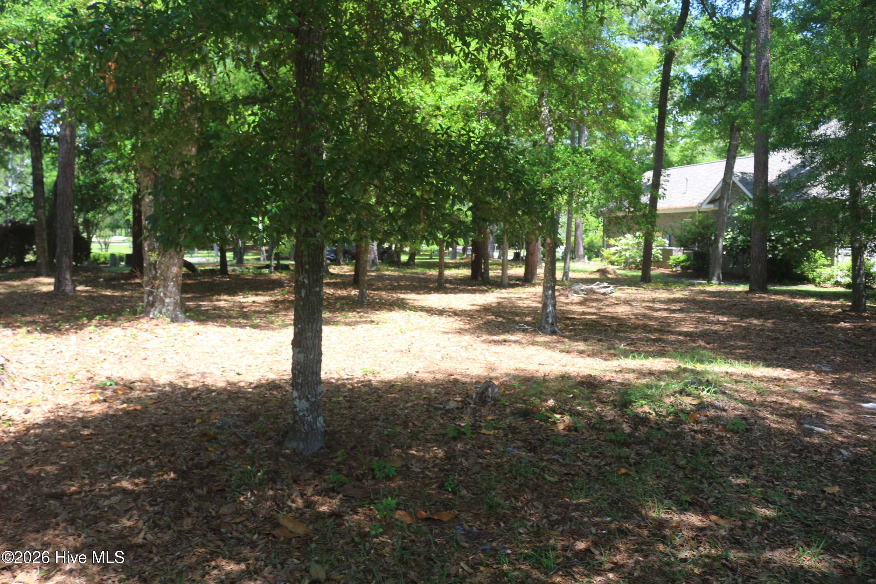 100566261 | Photo 15