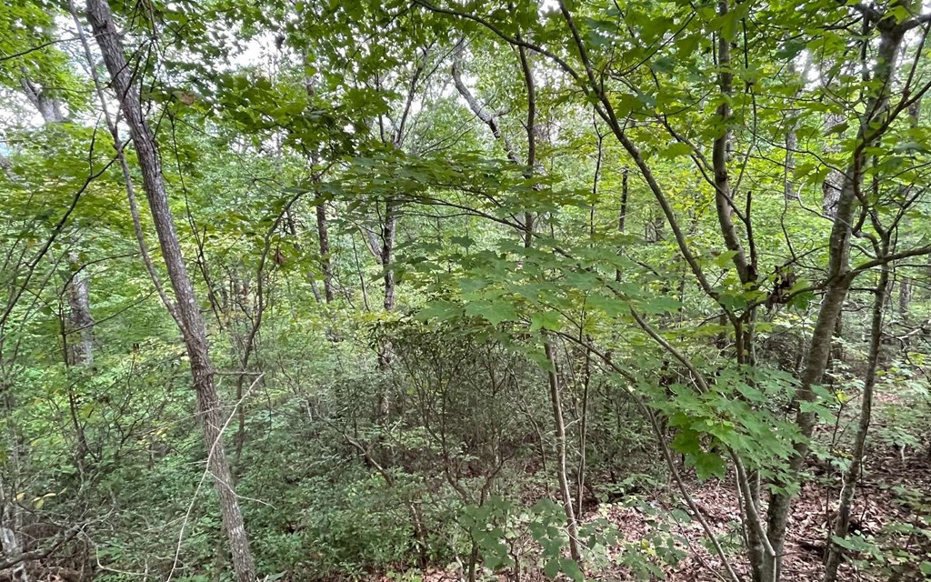 Exterior photo of Lot 20 Enchanted Ridge, Hayesville, NC 28904. MLS: 98544069