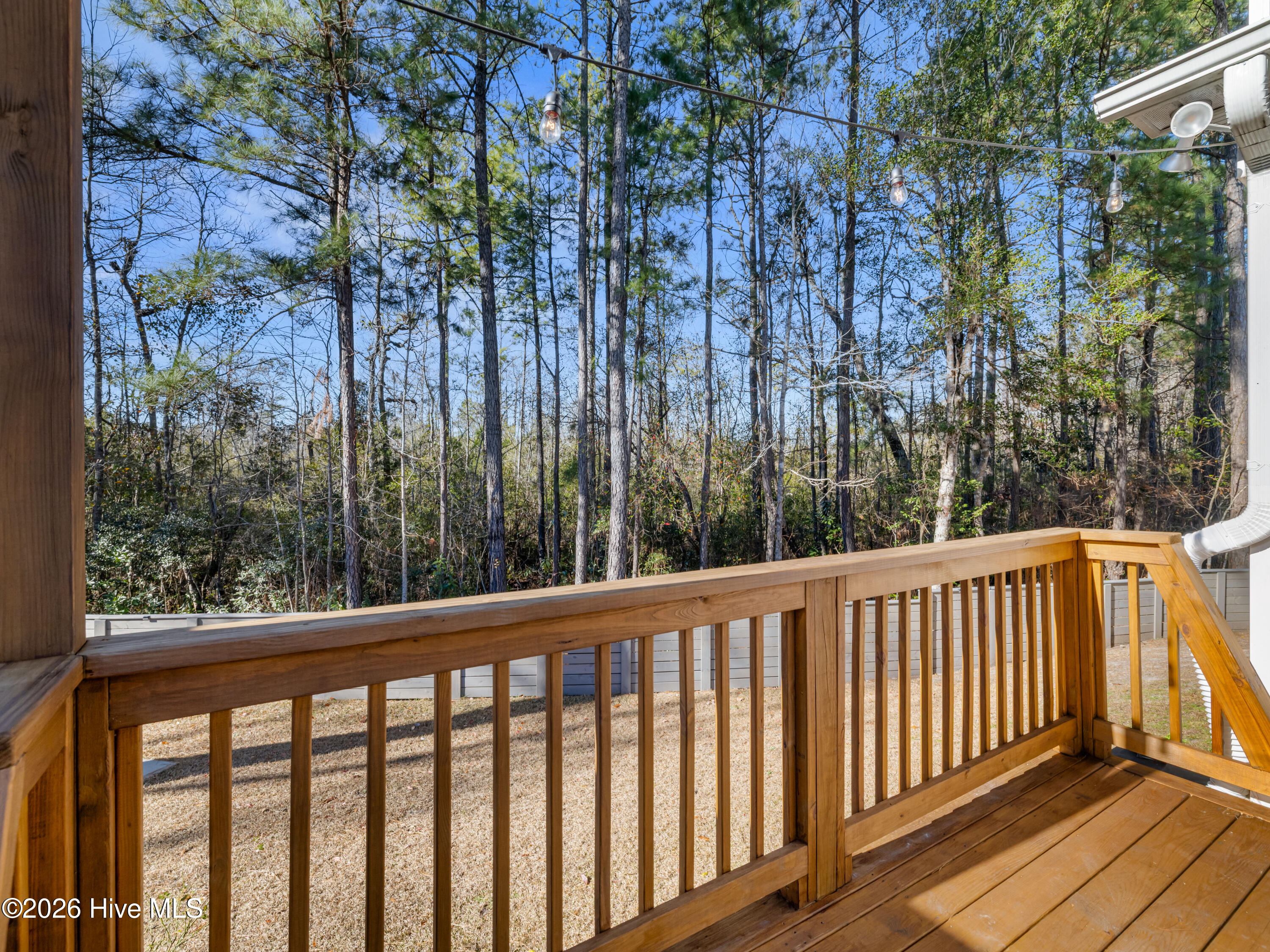 100549513 | Photo 58